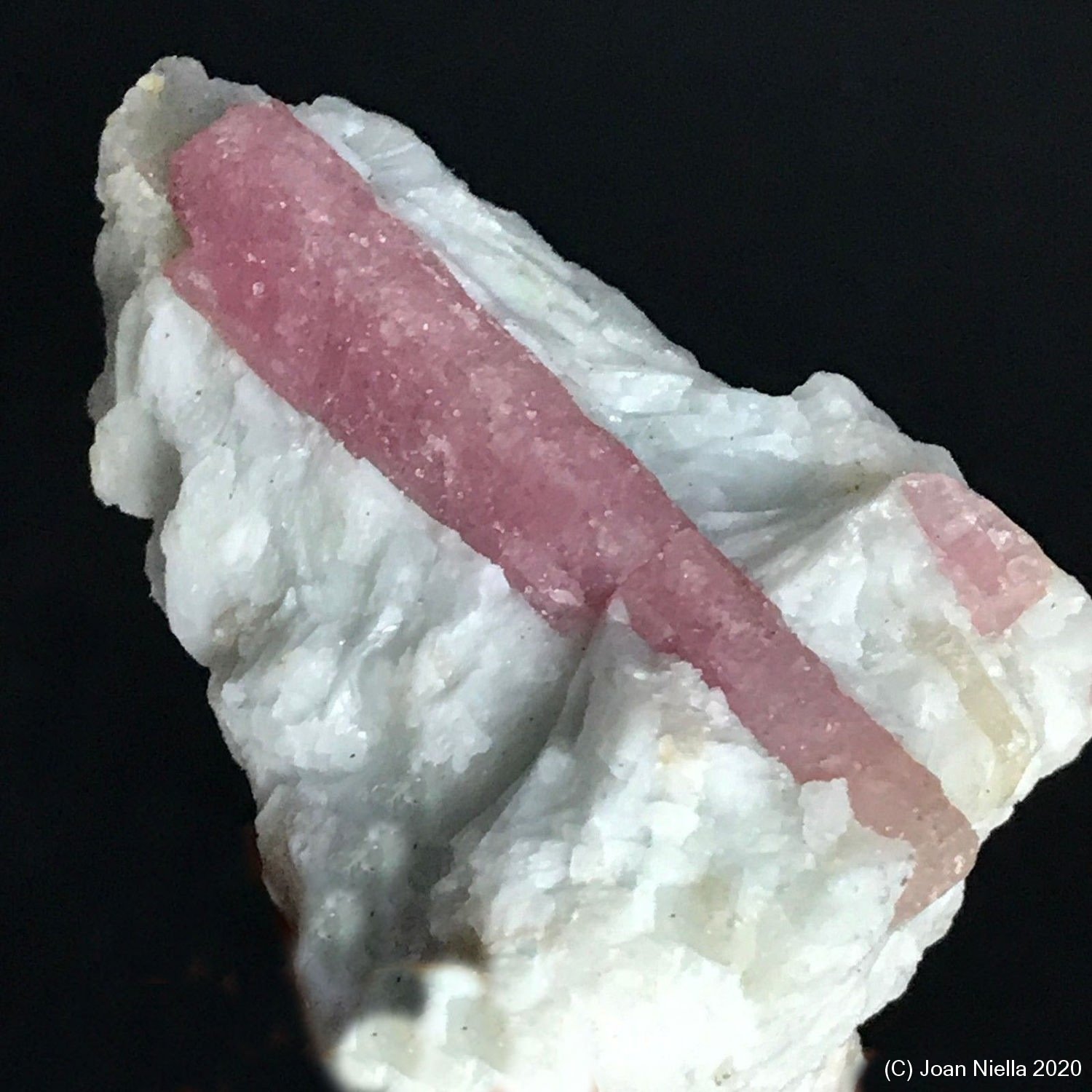 Elbaíta (variedad rubelita)
6 x 4 cm
(Autor: Joan Niella)