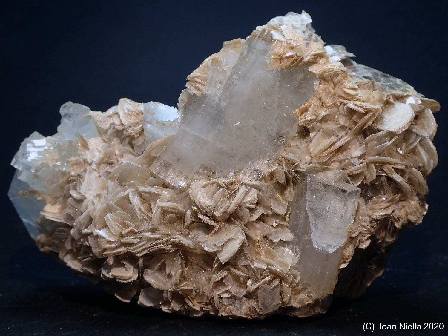 Berilo (variedad aguamarina), Moscovita
75 x 60 mm
(Autor: Joan Niella)