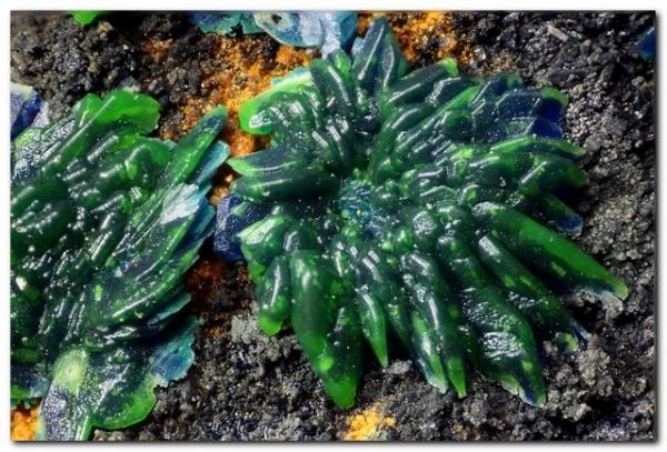 Conicalcita pseudomorfica de azurita.
Encuadre 9 mm.
(Autor: Rafa Muñoz(mineralvarado))