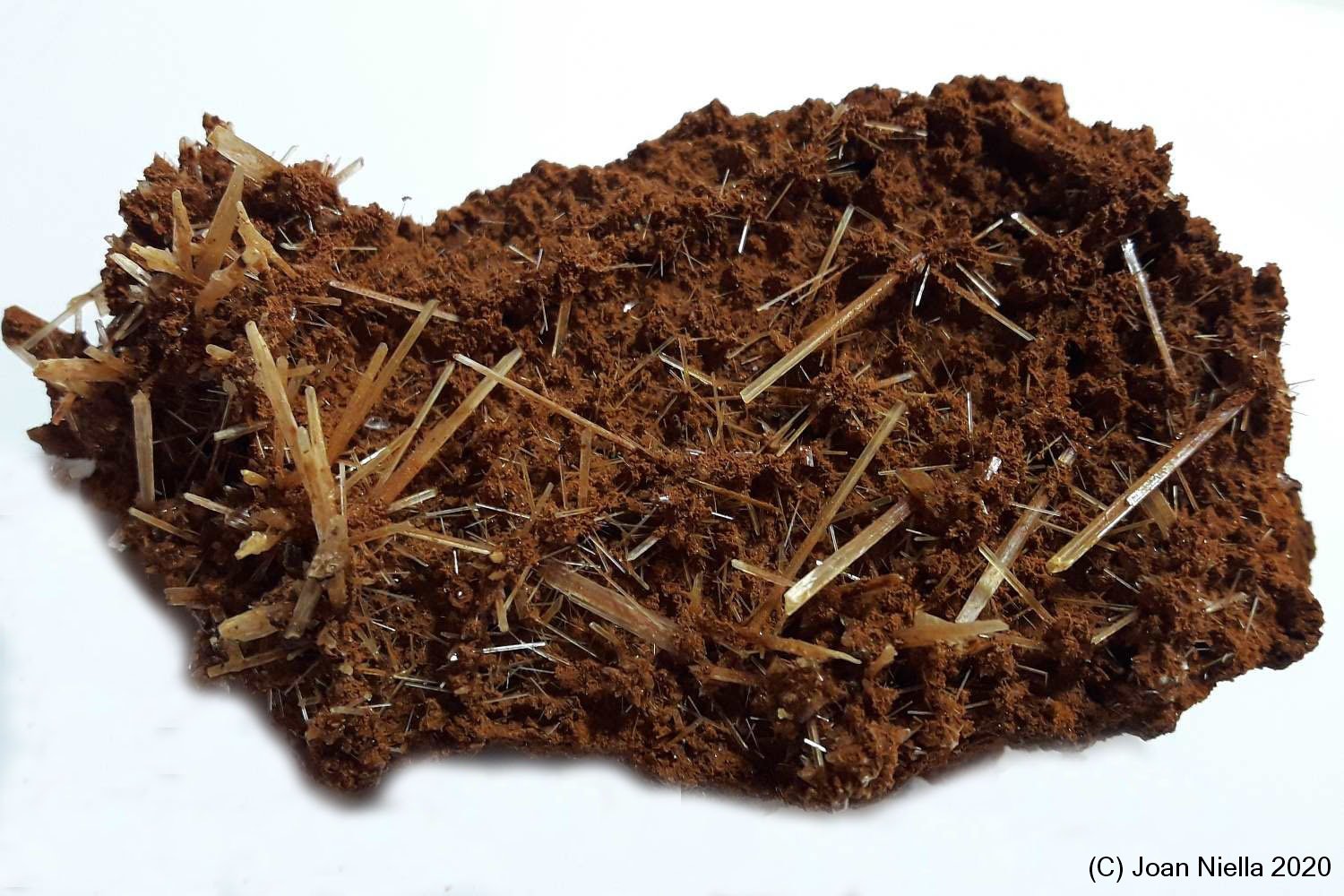 Yeso
10 x 6 cm
(Autor: Joan Niella)
