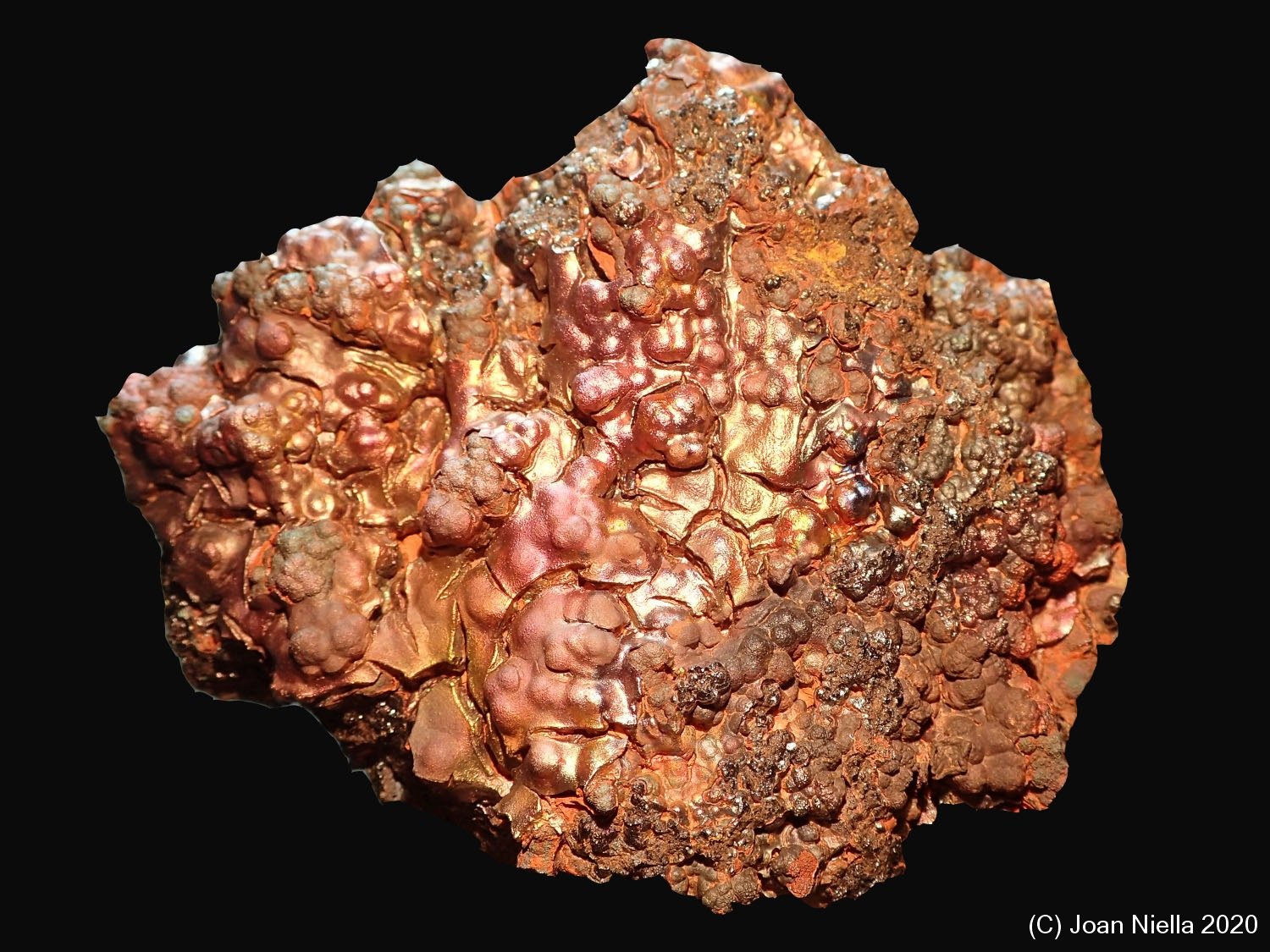 Goethita
9 x 7 cm
(Autor: Joan Niella)