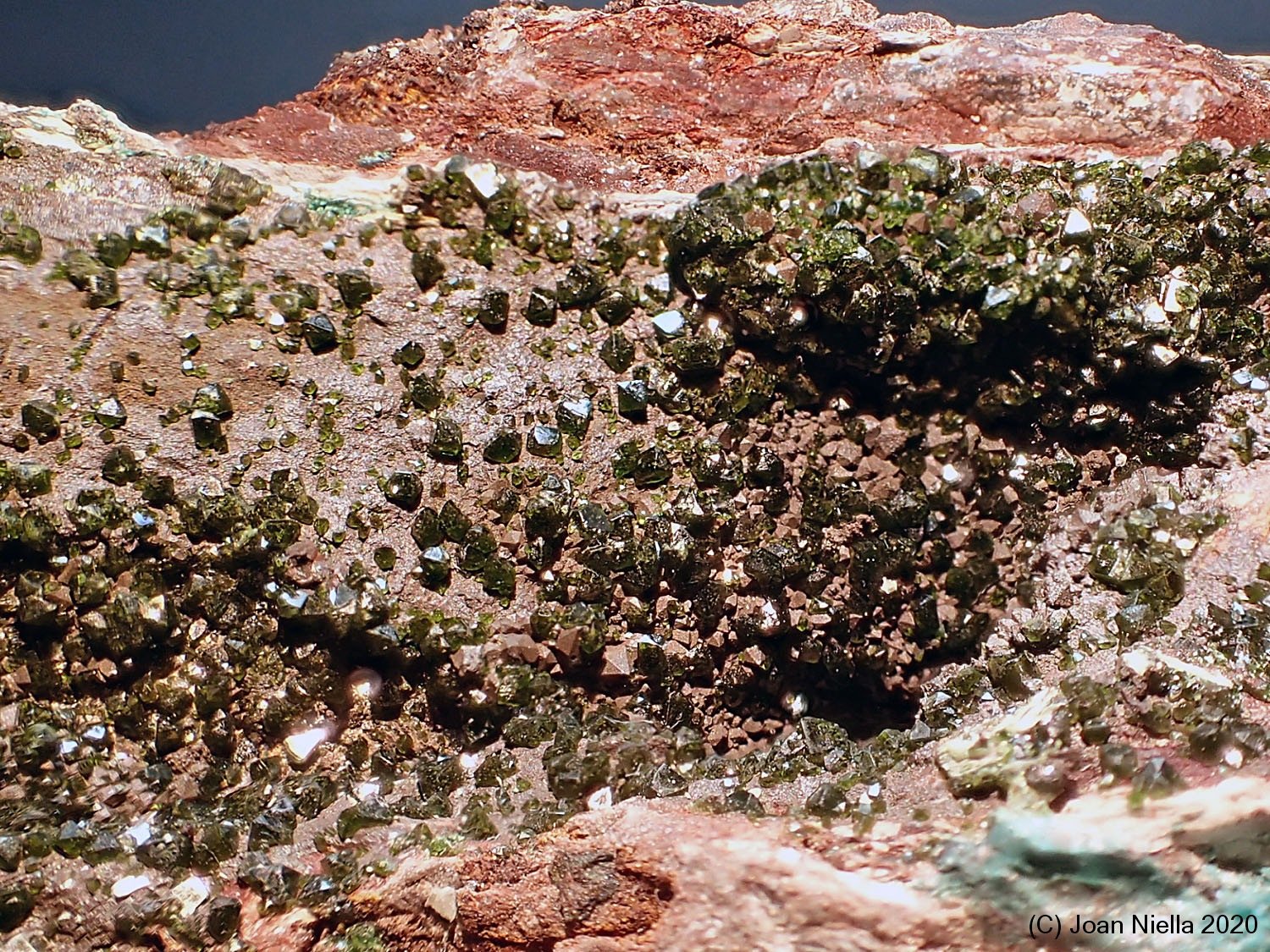 Libethenita
CV 2 x 1 cm
(Autor: Joan Niella)