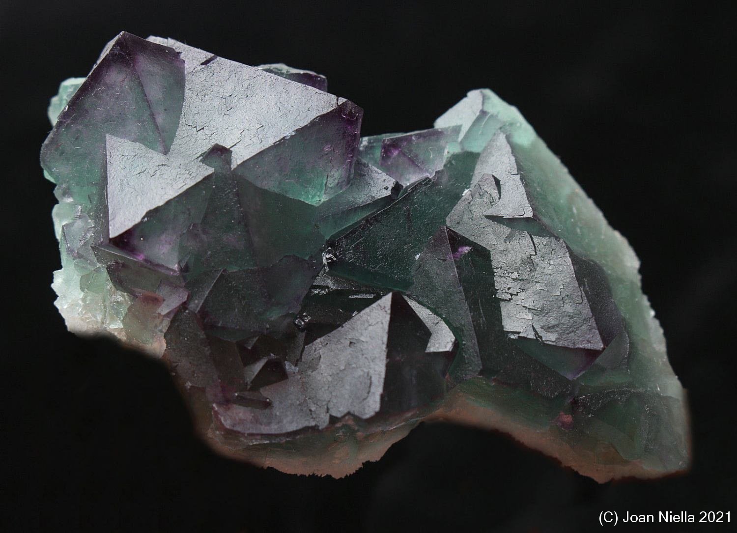 Fluorita
70x40 mm
(Autor: Joan Niella)