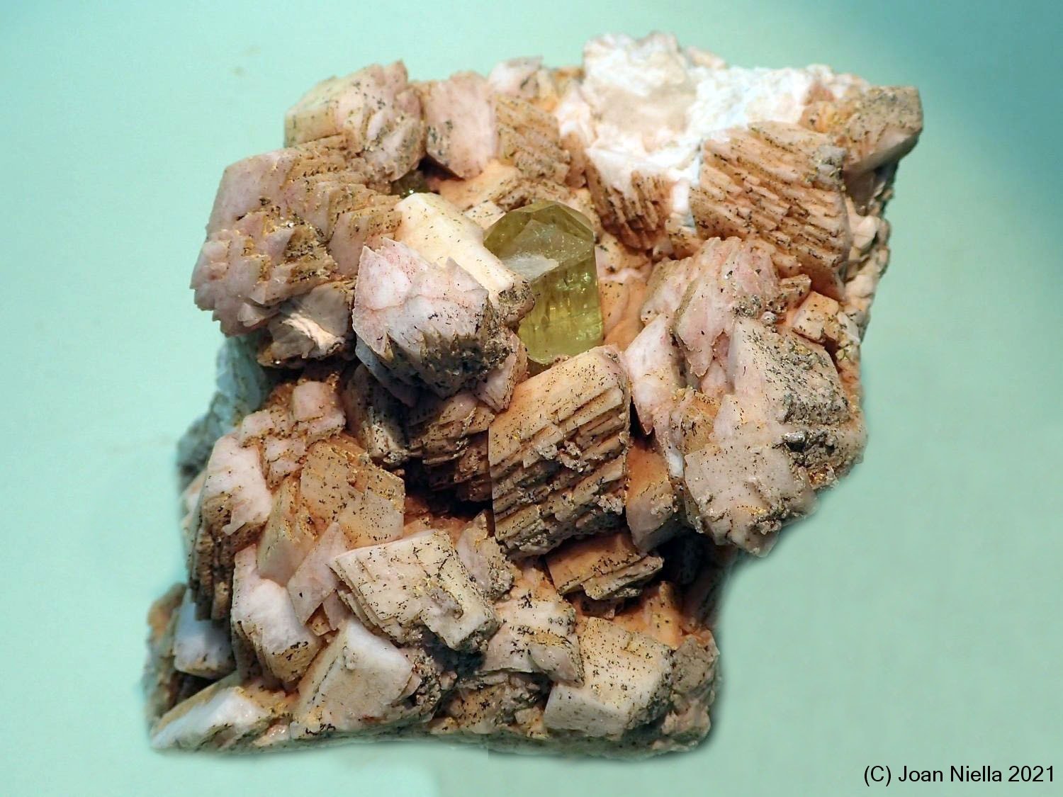 Fluorapatito
70x60 mm
(Autor: Joan Niella)