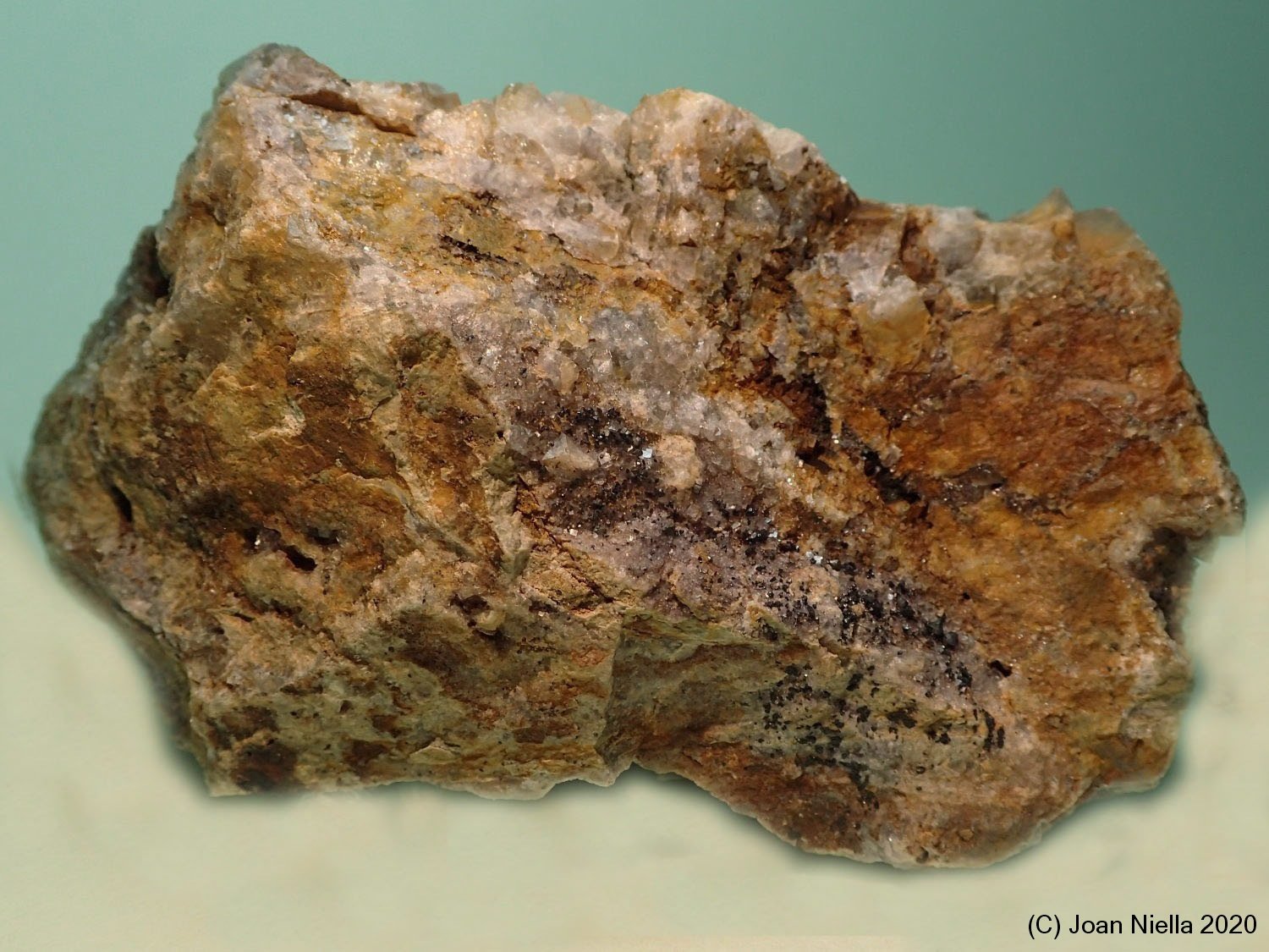 Cechita
8 x 5 cm
(Autor: Joan Niella)