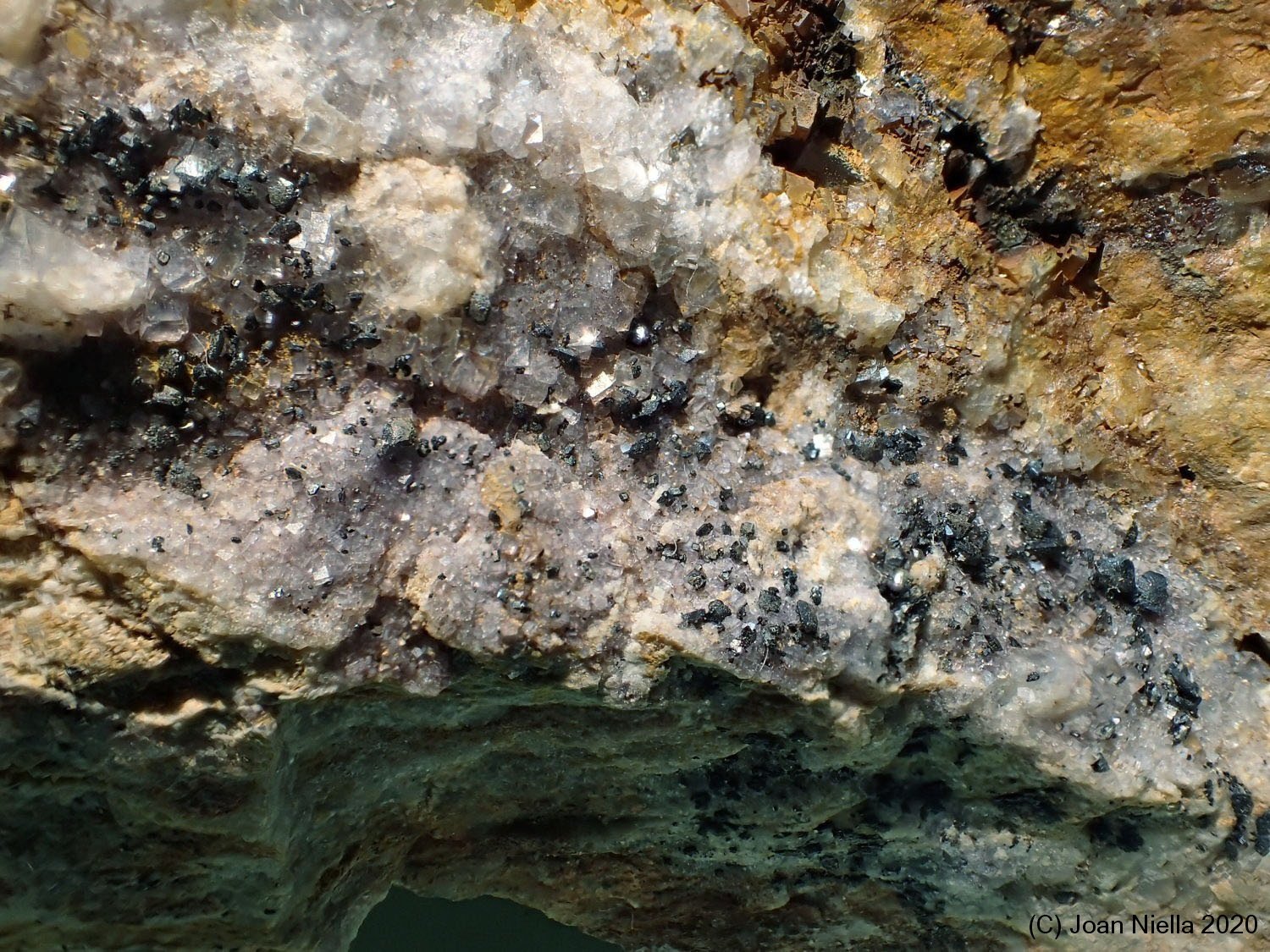 Cechita
3 x 4 cm
(Autor: Joan Niella)