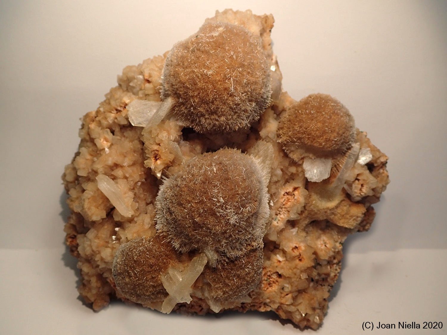 Thomsonita-Ca
11 x 9 cm
(Autor: Joan Niella)