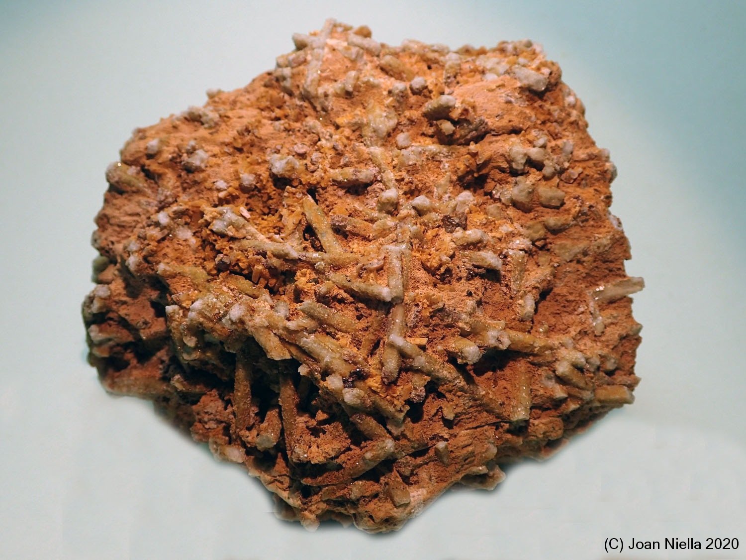 Microclina
85 x 75 mm
(Autor: Joan Niella)