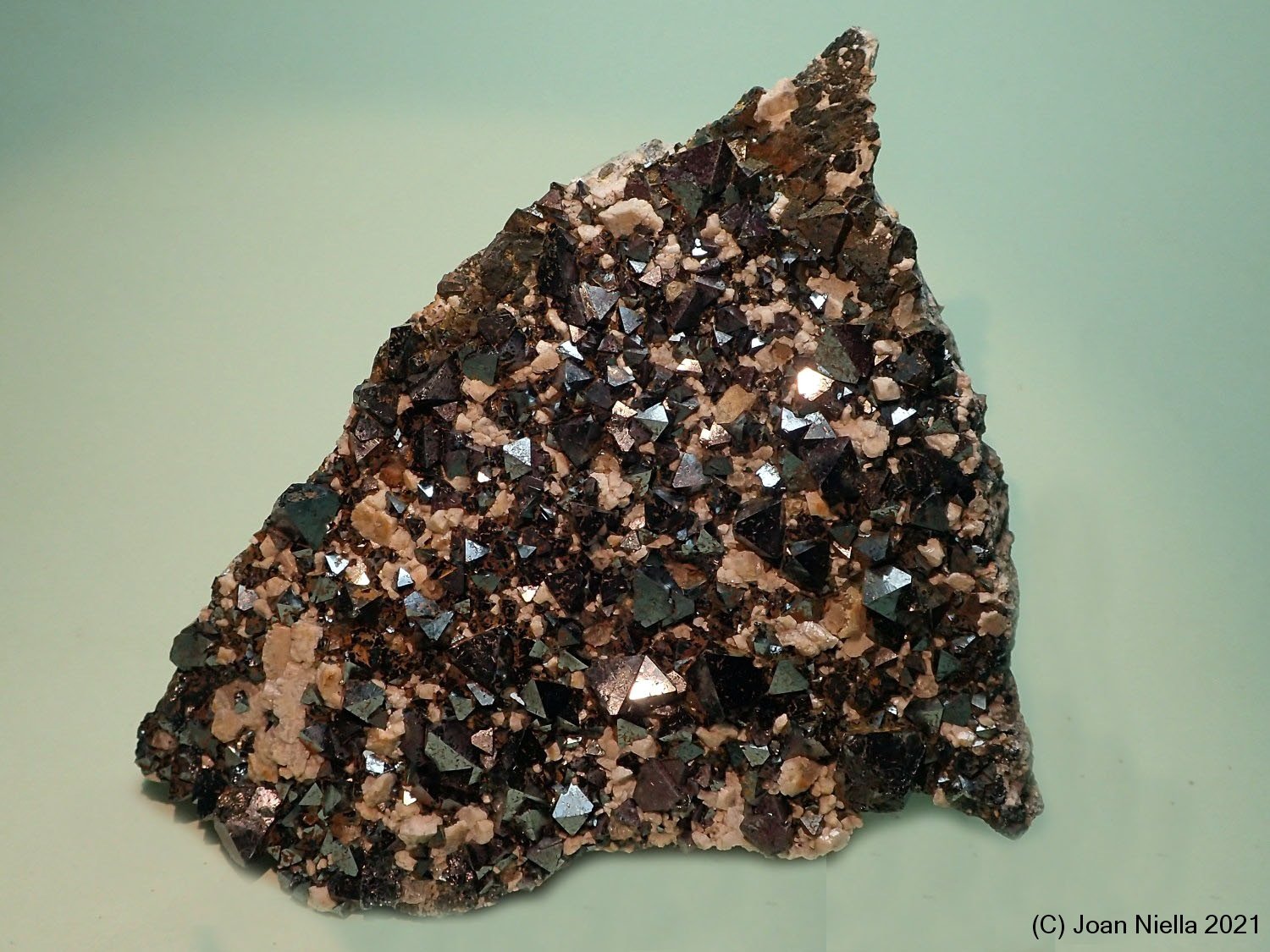 Magnetita
95x80 mm
(Autor: Joan Niella)