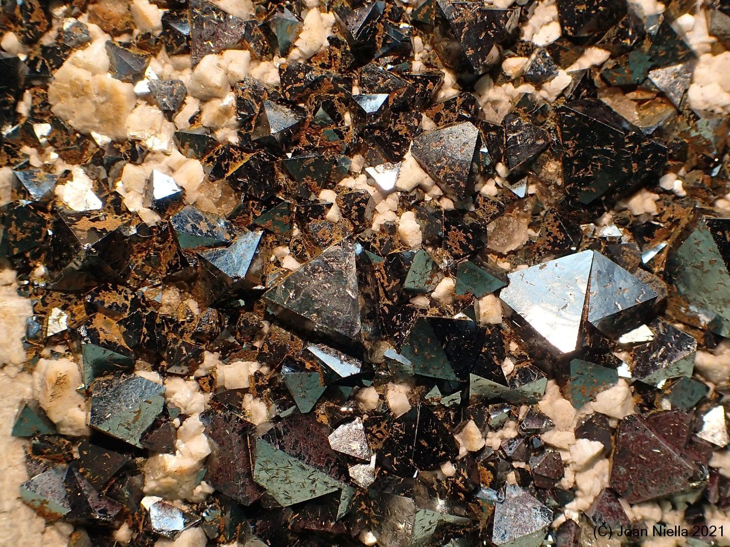 Magnetita
CV 3 x 2 cm
(Autor: Joan Niella)