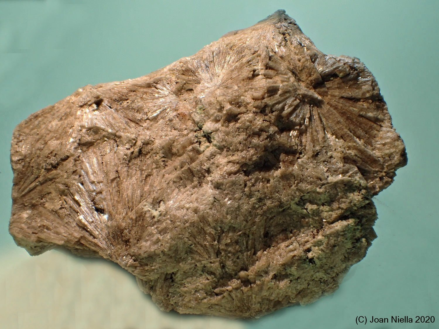 Vesuvianita (Vesubiana)
9 x 7 cm
(Autor: Joan Niella)