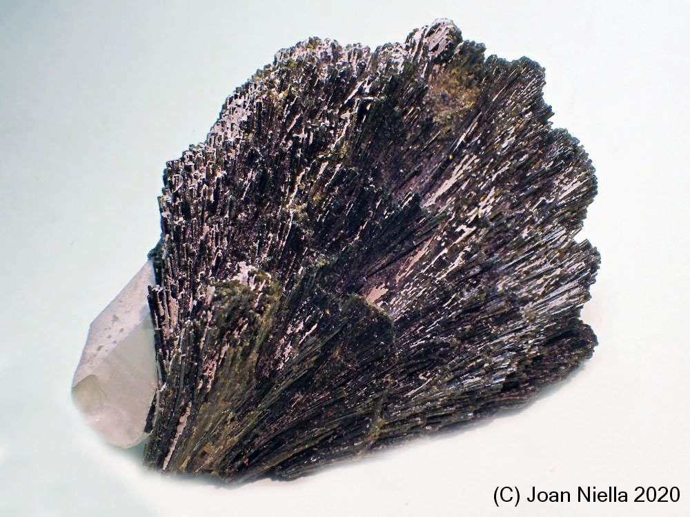 Epidota
70 x 55
(Autor: Joan Niella)