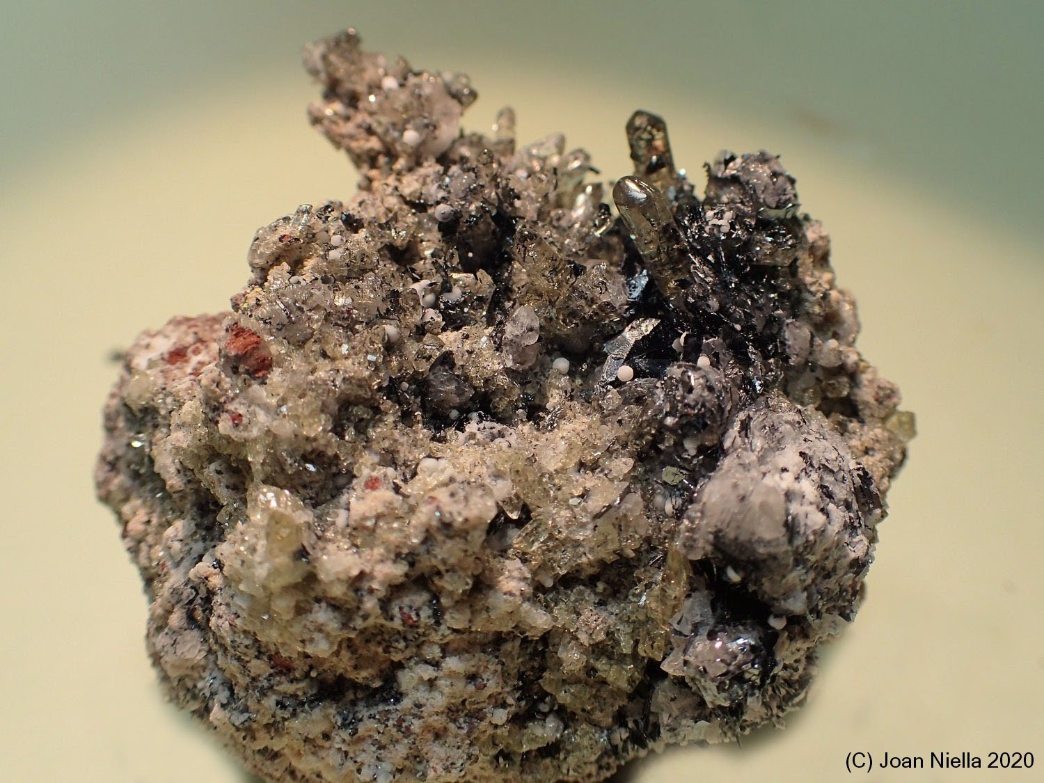 Fluorapatito
4 x 4 cm
(Autor: Joan Niella)