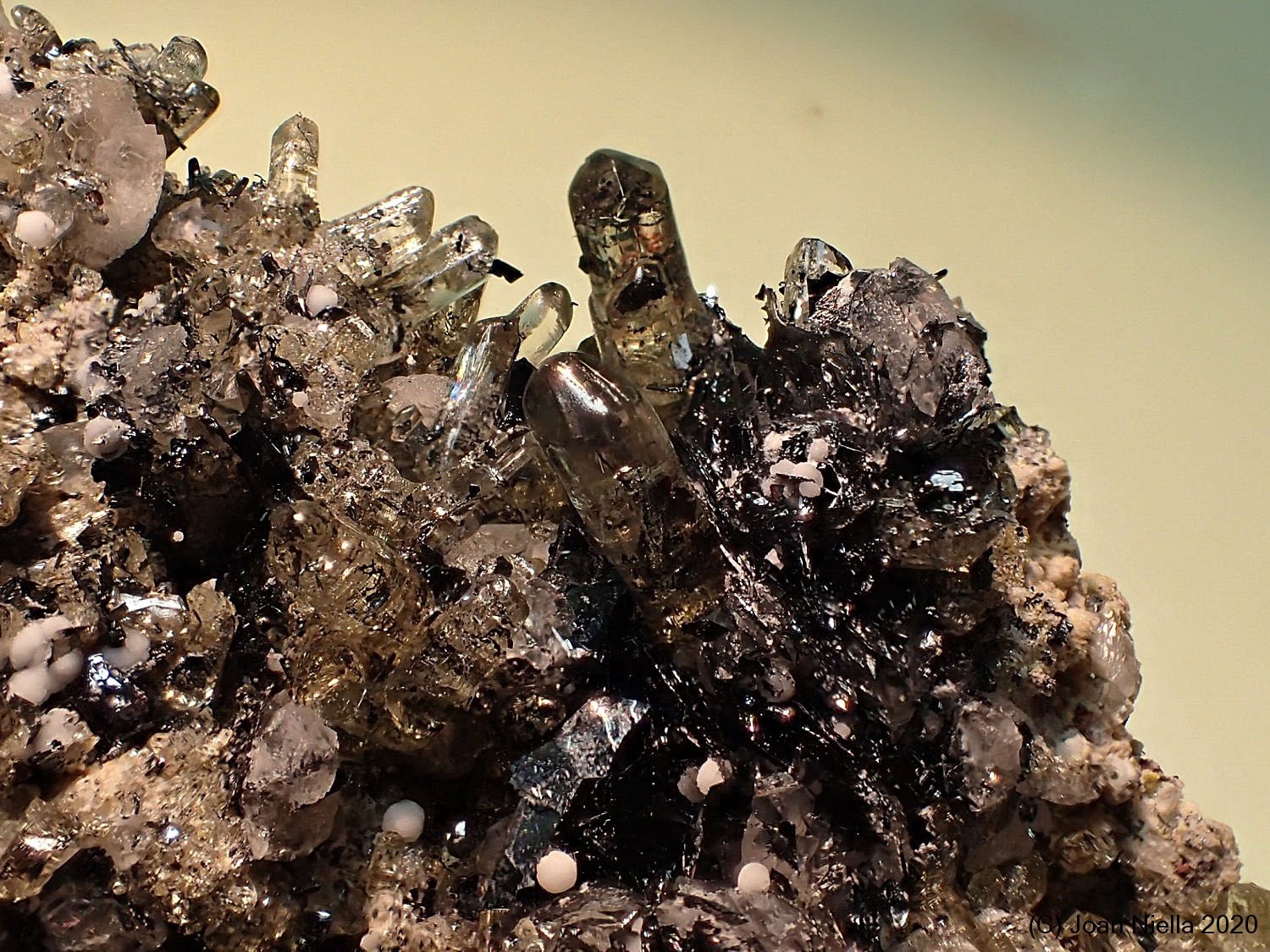 Fluorapatito
2 x 3 cm
(Autor: Joan Niella)