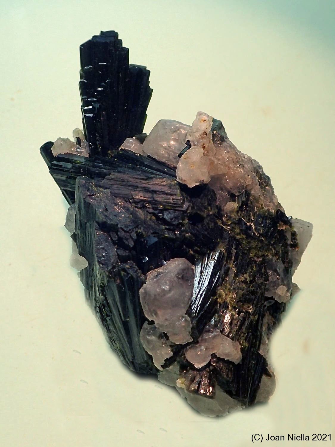 Epidota
65x40 mm
(Autor: Joan Niella)