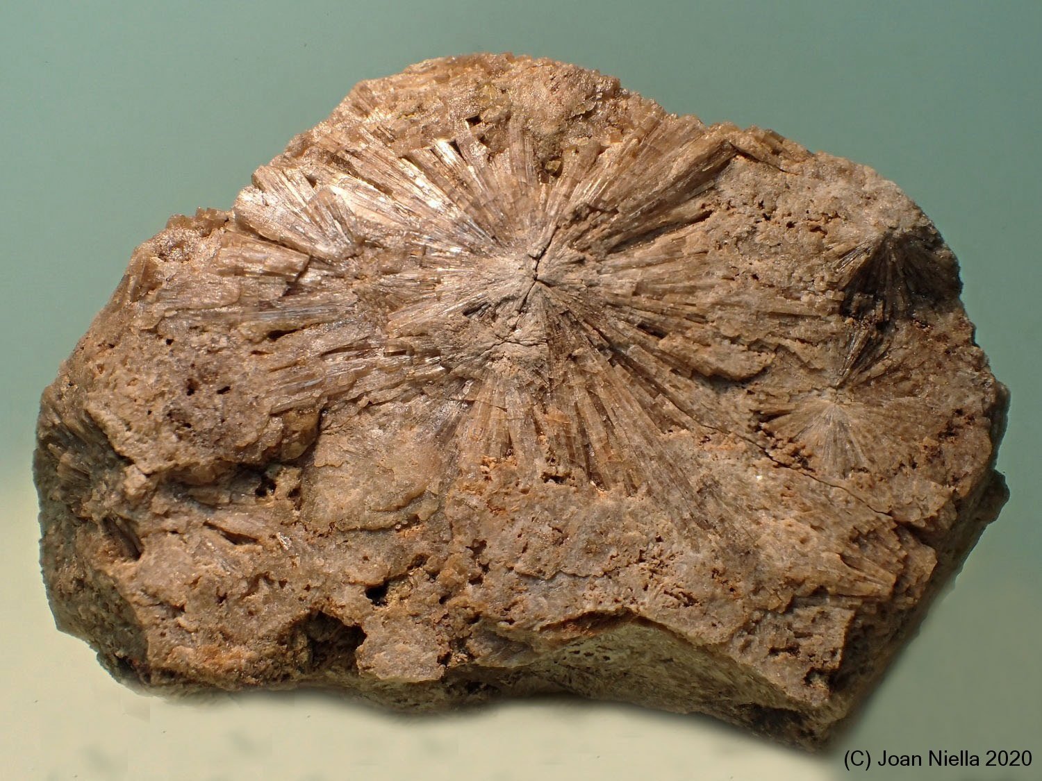 Vesuvianita (Vesubiana)
65 x 50 mm
(Autor: Joan Niella)