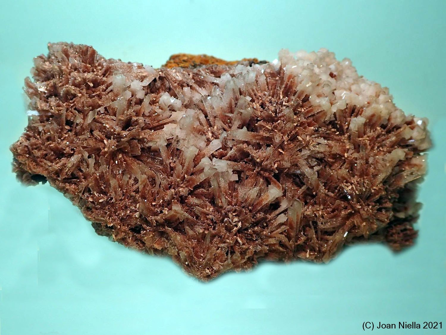 Hemimorfita
80x50 mm
(Autor: Joan Niella)