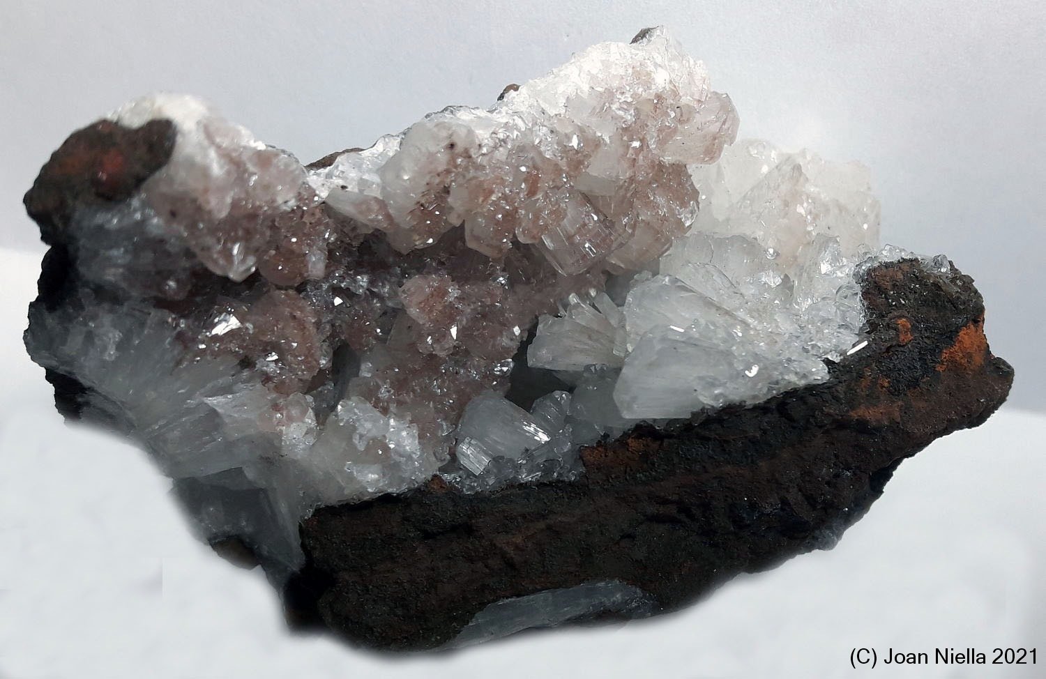 Hemimorfita
70x40 mm
(Autor: Joan Niella)