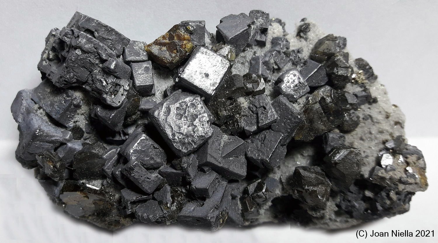 Galena
70x40 mm
(Autor: Joan Niella)
