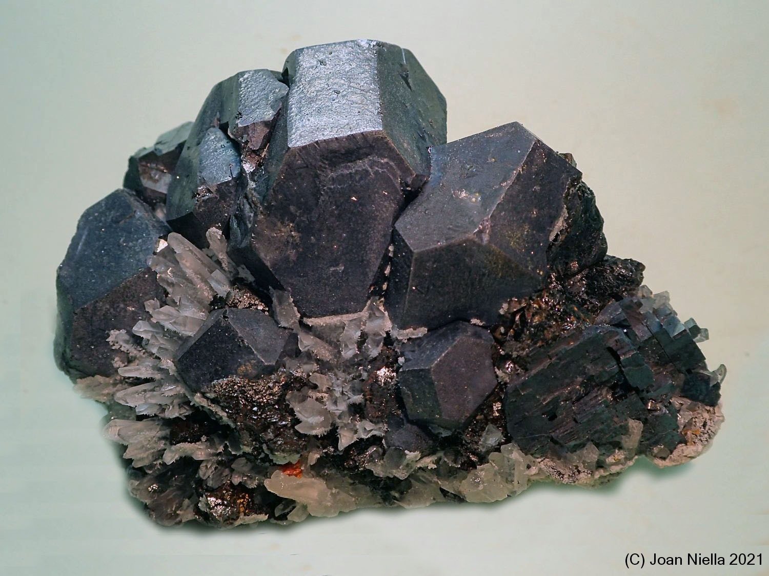 Galena
70x65 mm
(Autor: Joan Niella)