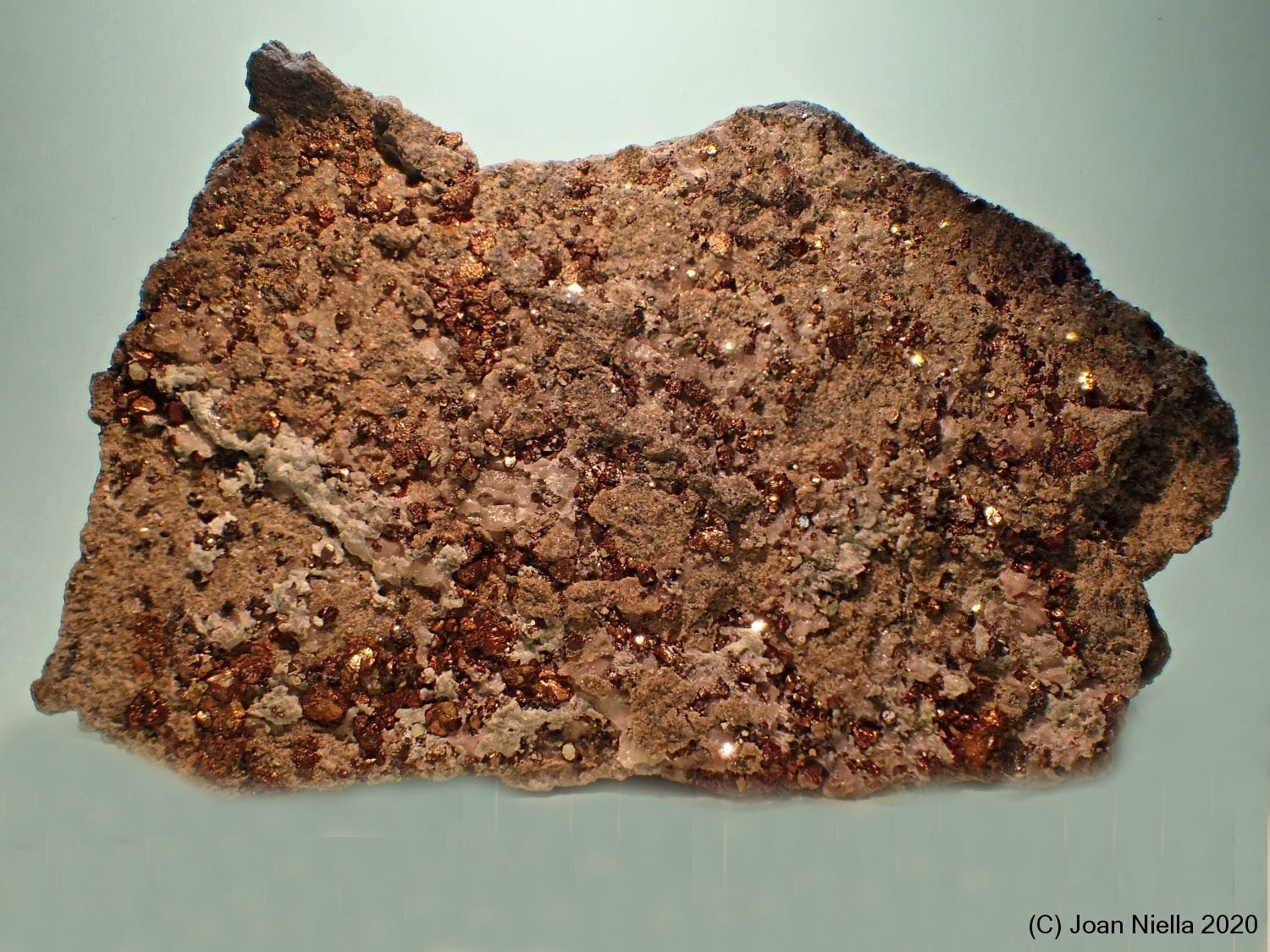 Calcopirita
85 x 55 mm
(Autor: Joan Niella)