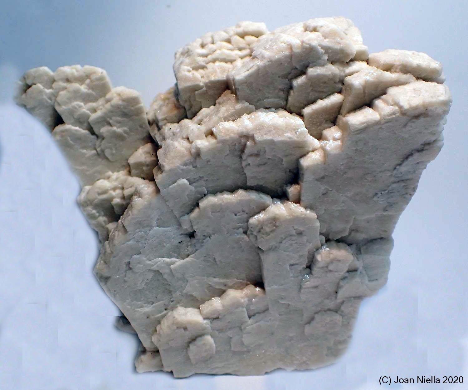 Ortoclasa
8 x 6 cm
(Autor: Joan Niella)