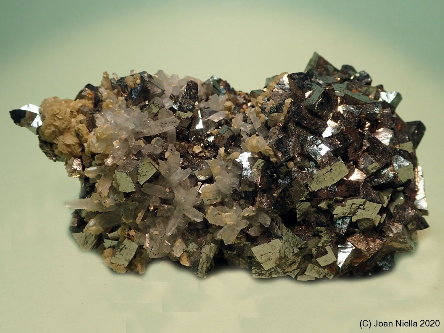Arsenopirita
9 x 5 cm
(Autor: Joan Niella)