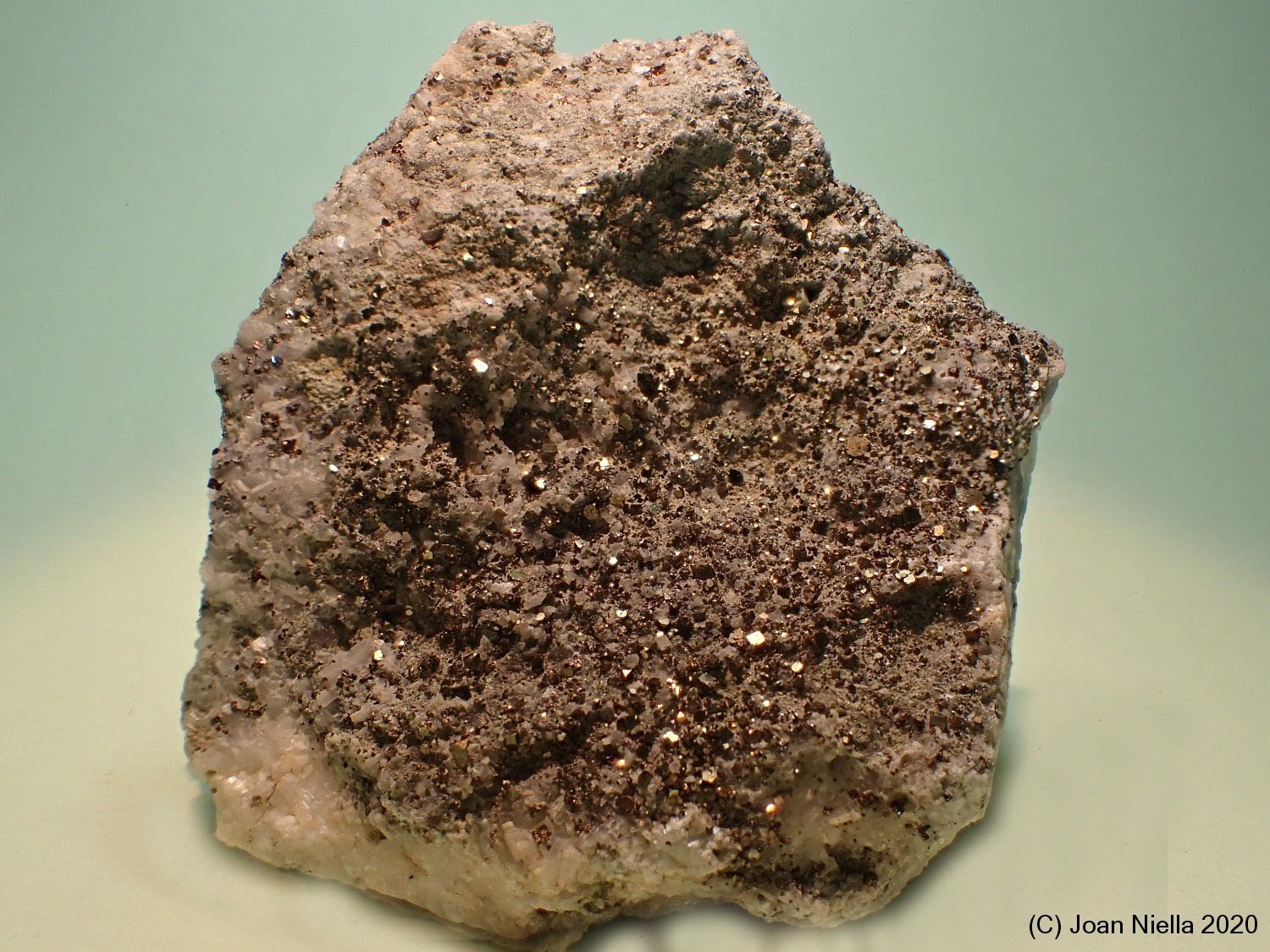 Pirita
6 x 7 cm
(Autor: Joan Niella)