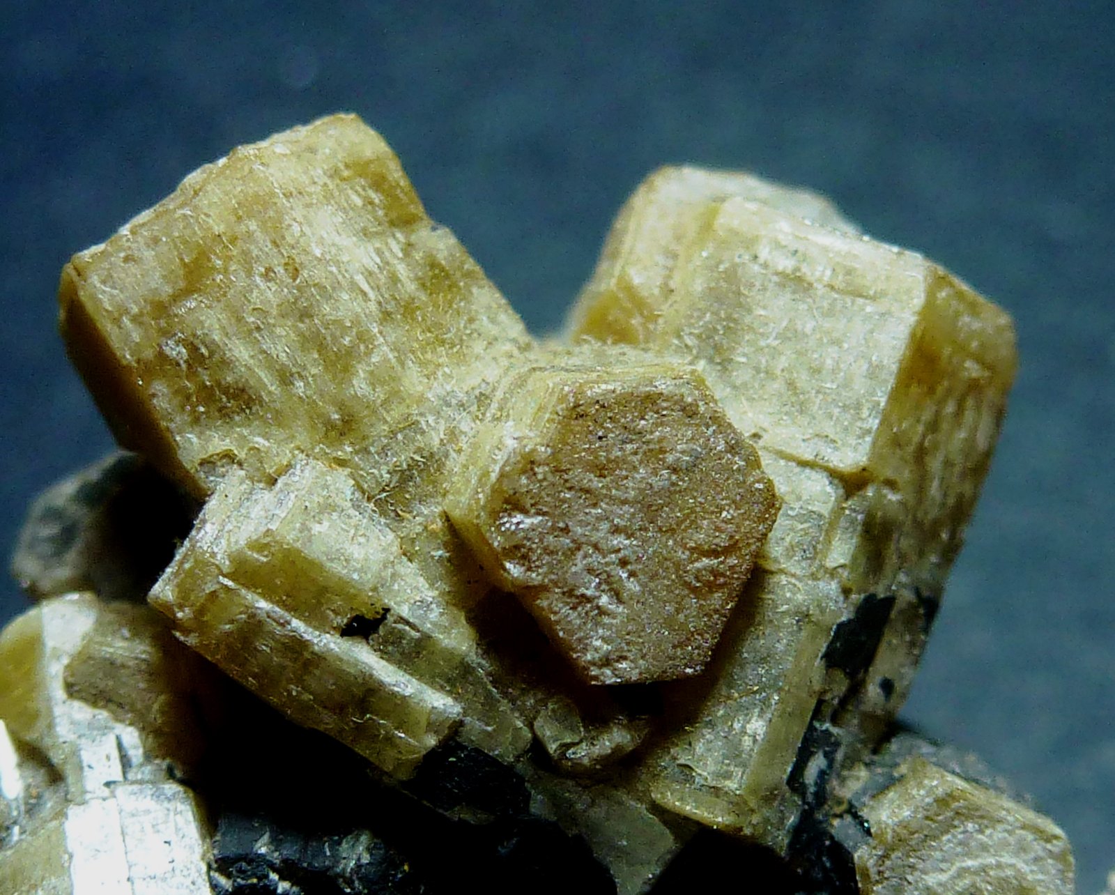 Vanadinita (variedad vanadinita arsenical), Mottramita
5 x 4 cm. la pieza, cristal mayor 1 cm.
(Autor: javier ruiz martin)