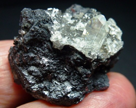 Anglesita, Galena
4 x 4 cm. la pieza, 0,6 x 0,4 cm. el cristal
(Autor: javier ruiz martin)