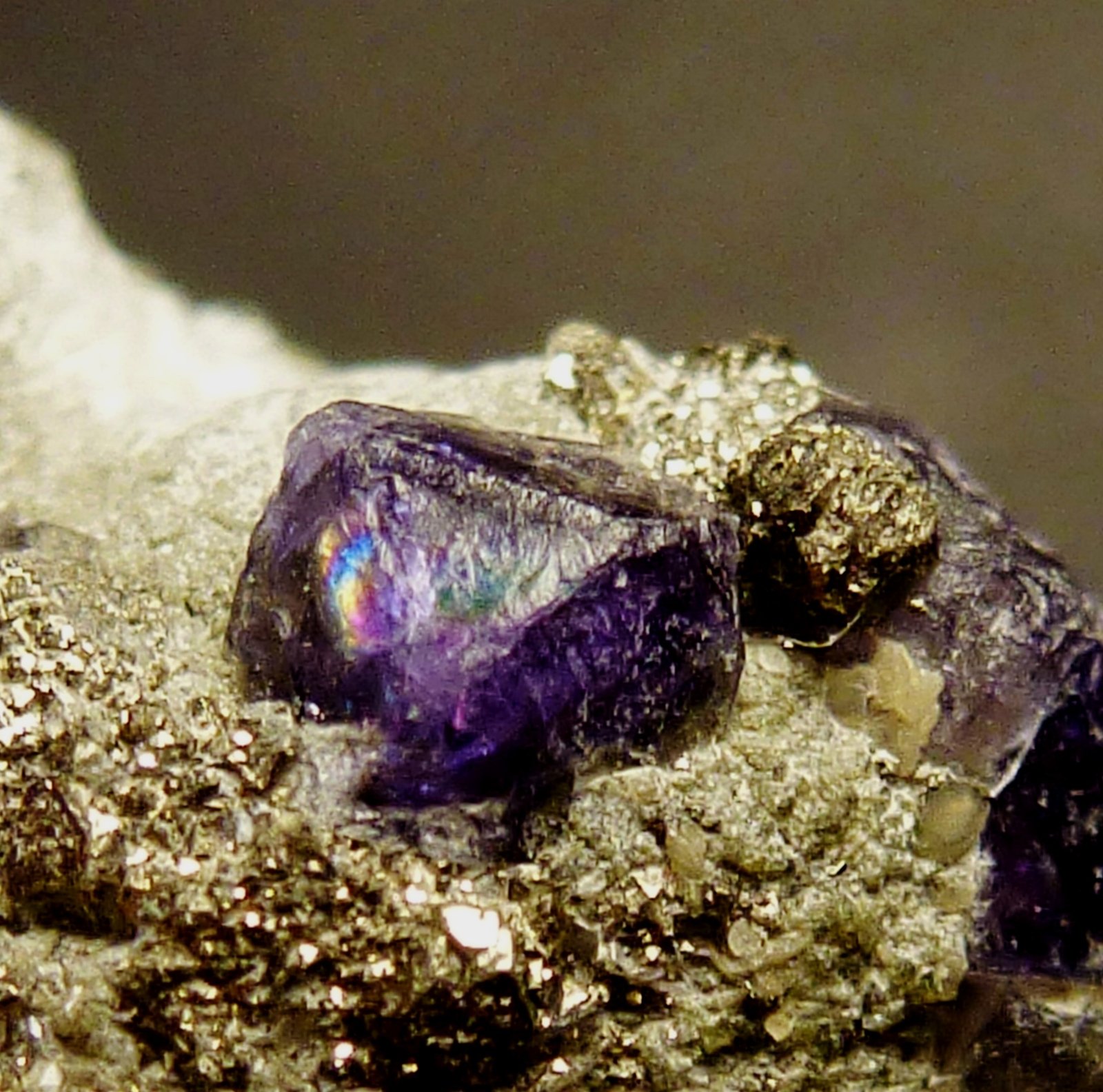 Fluorita, Pirita
0,2 cm. el cristal de Fluorita
(Autor: javier ruiz martin)