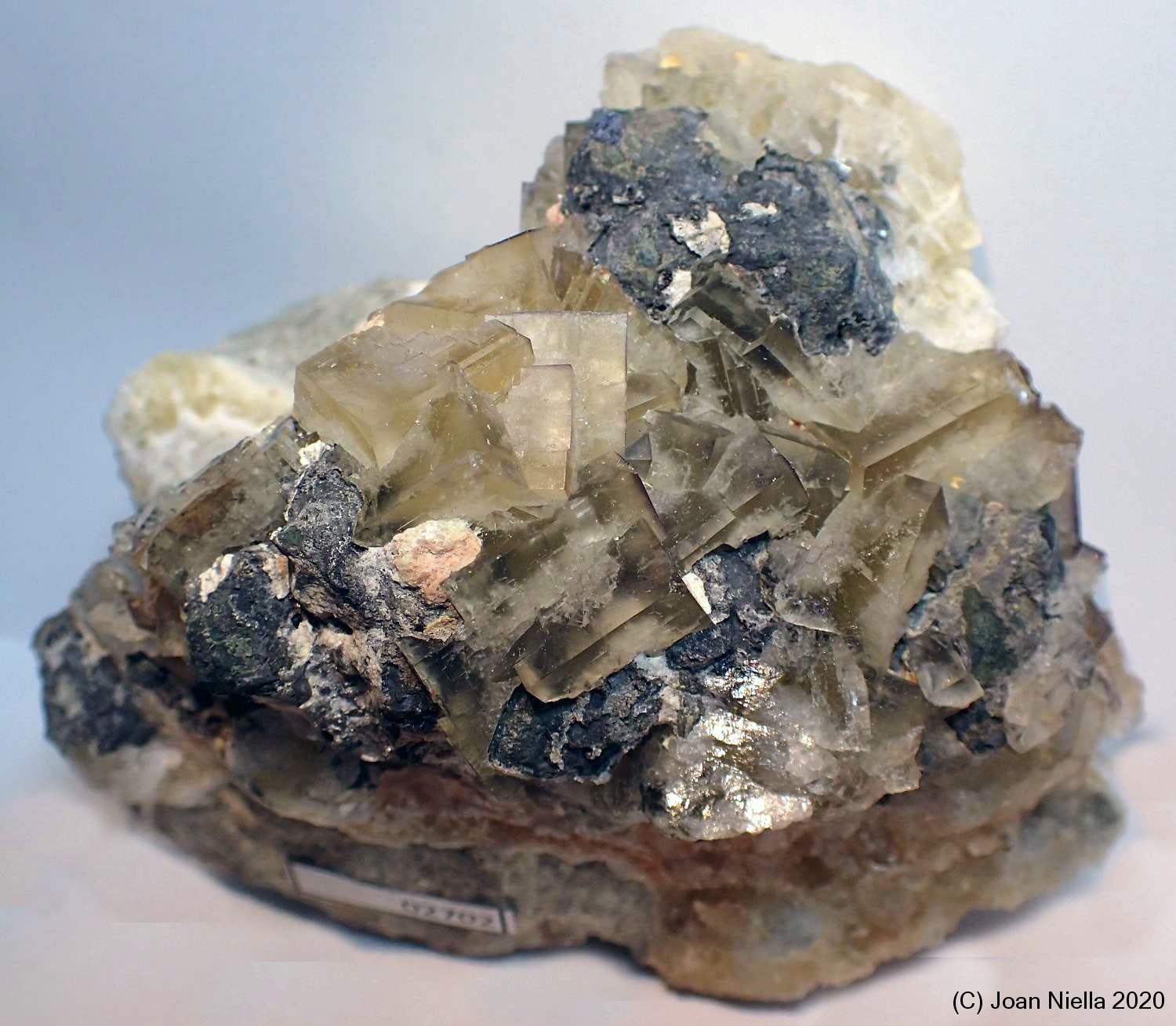Galena
95 x 85
(Autor: Joan Niella)