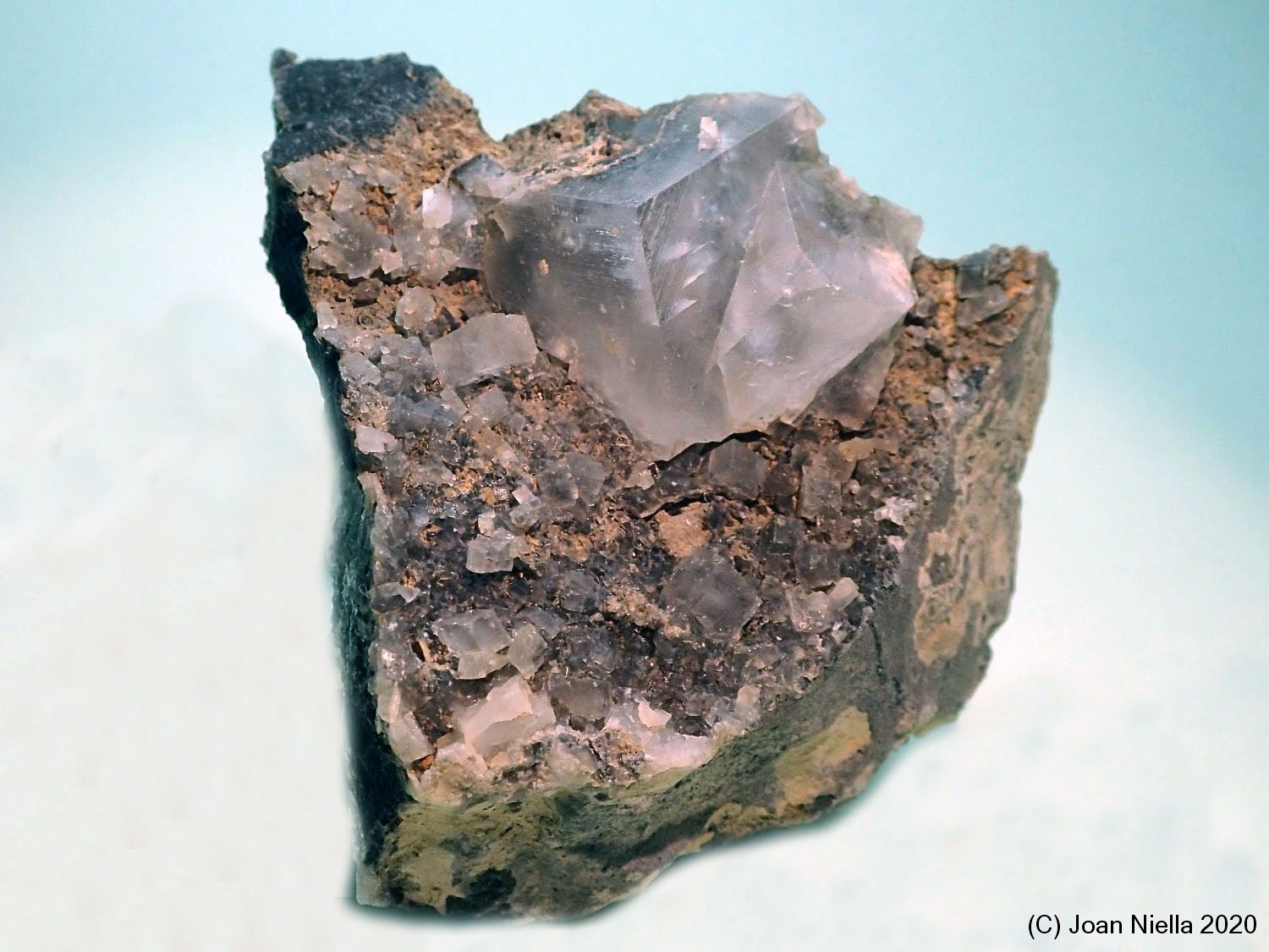 Calcita
60x55 mm
(Autor: Joan Niella)