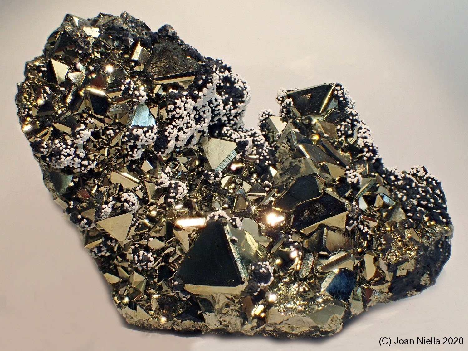 Pirita
9 x 6 cm
(Autor: Joan Niella)