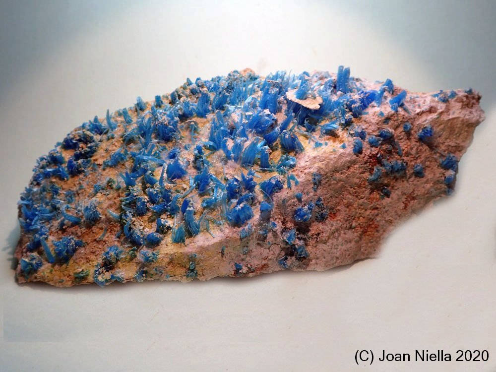 Calcantita
13 x 6 cm
(Autor: Joan Niella)