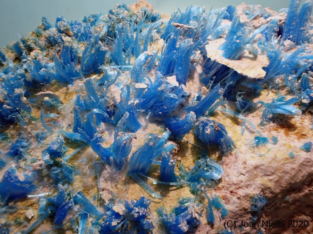 Calcantita
CV 3 x 2 cm
(Autor: Joan Niella)