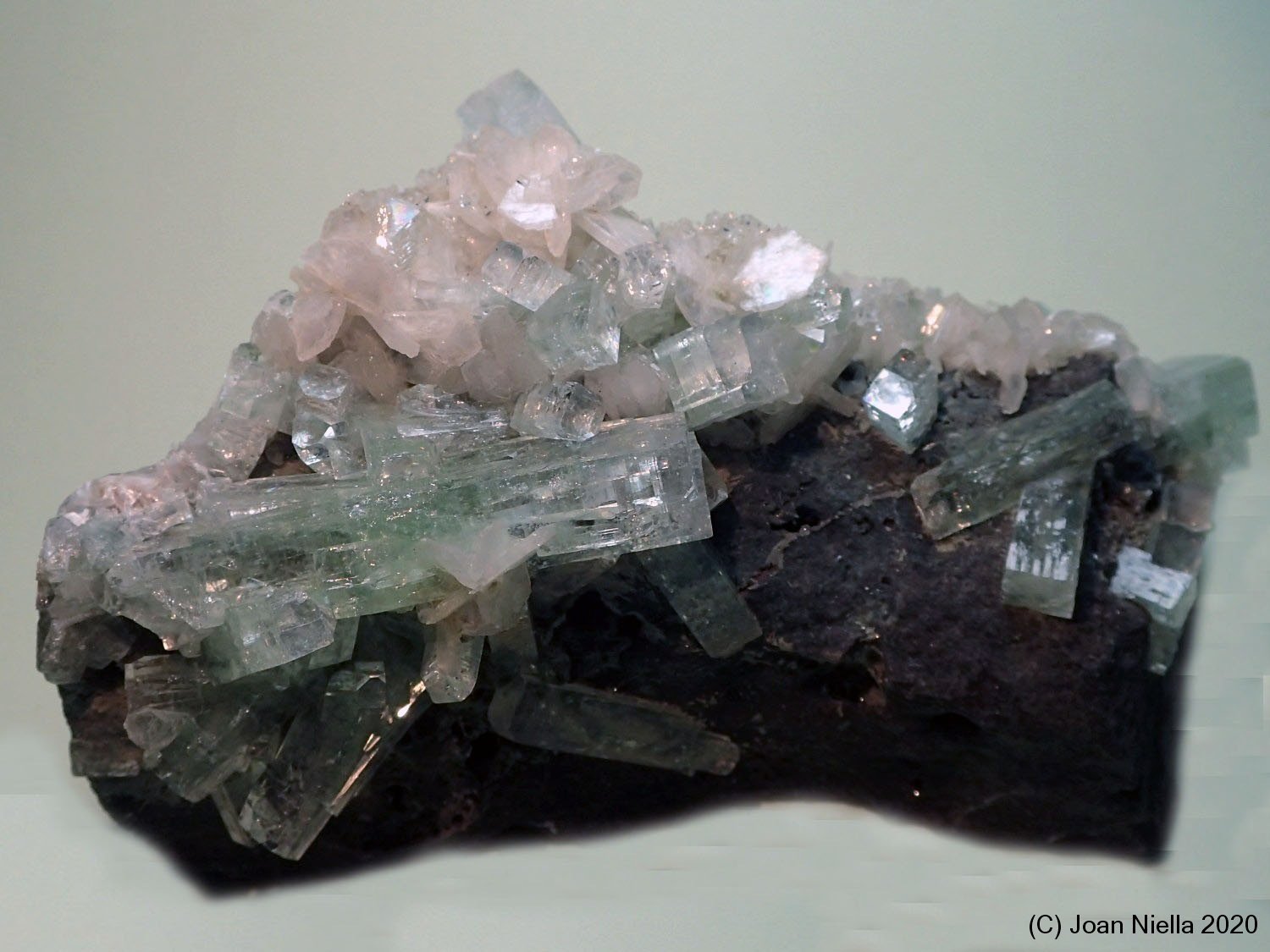 Fluorapophyllita-(K) (Apofilita)
100x50 mm
(Autor: Joan Niella)