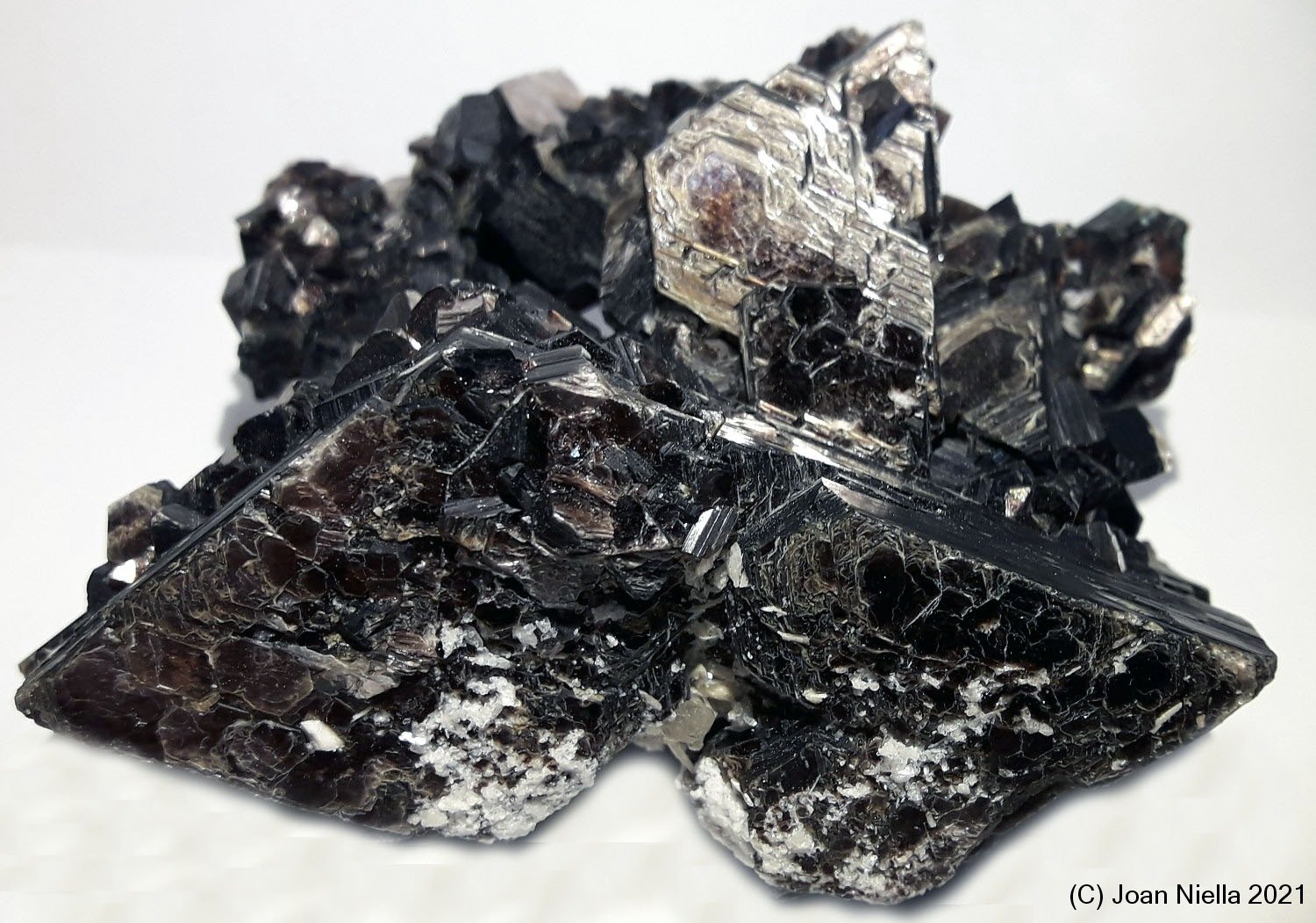 Moscovita
80x50 mm
(Autor: Joan Niella)