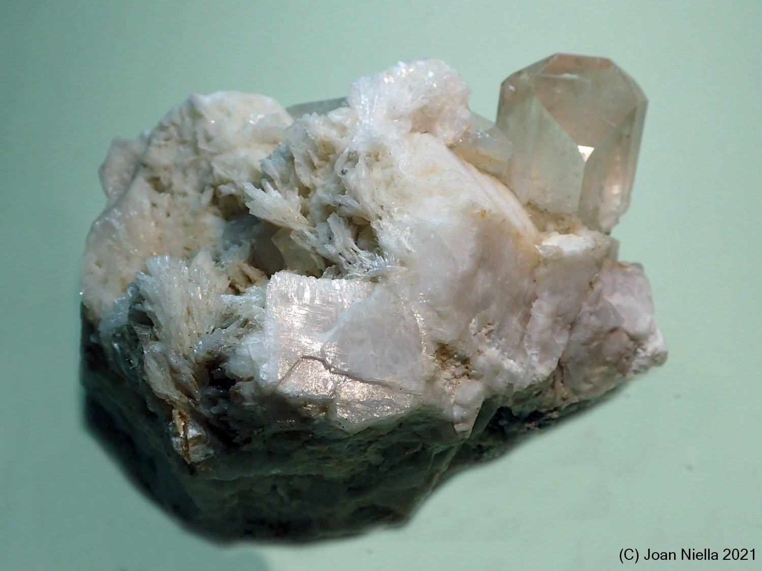 Topacio
80x60 mm
(Autor: Joan Niella)