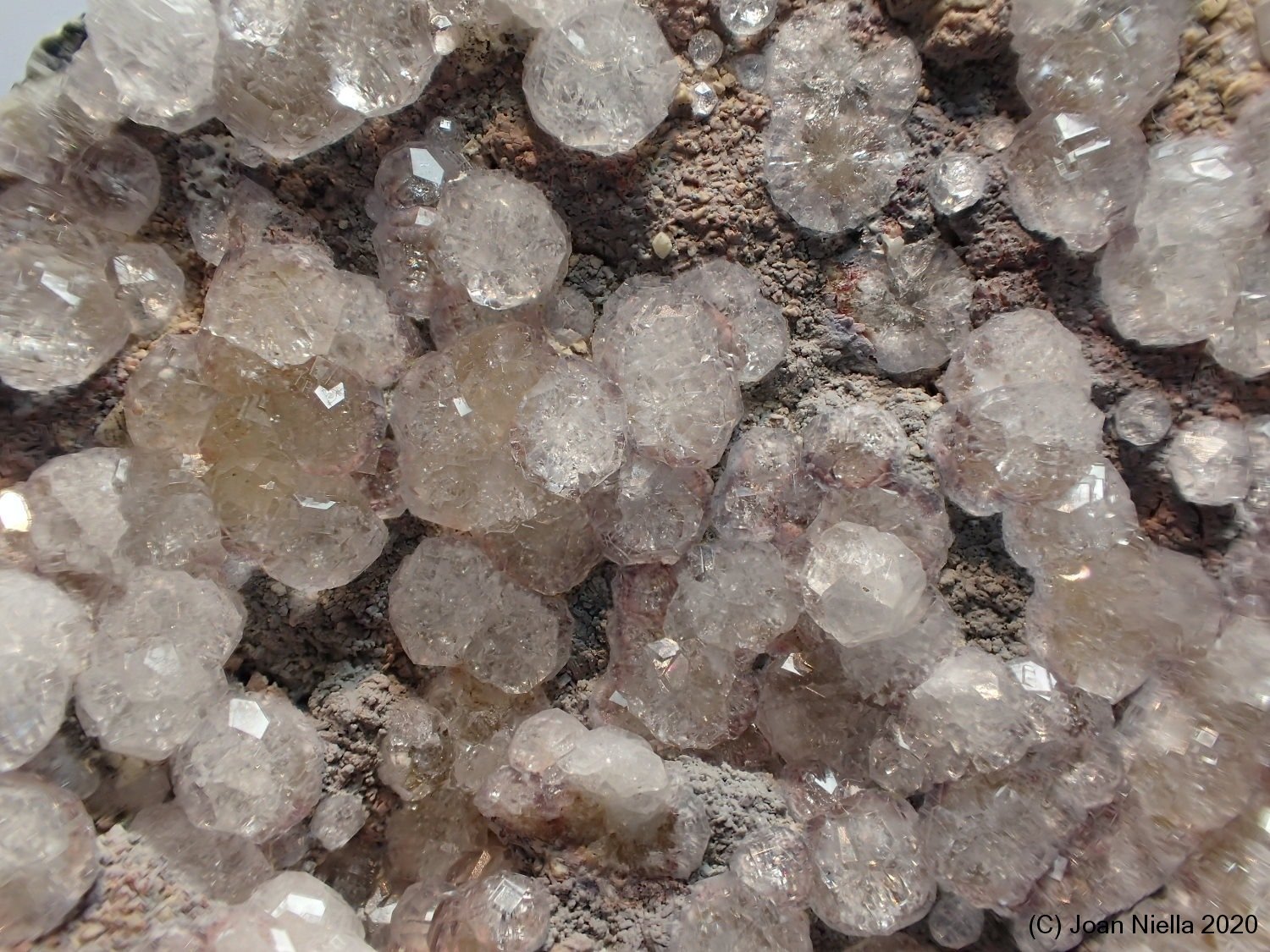 Analcima
6 x 4 cm
(Autor: Joan Niella)