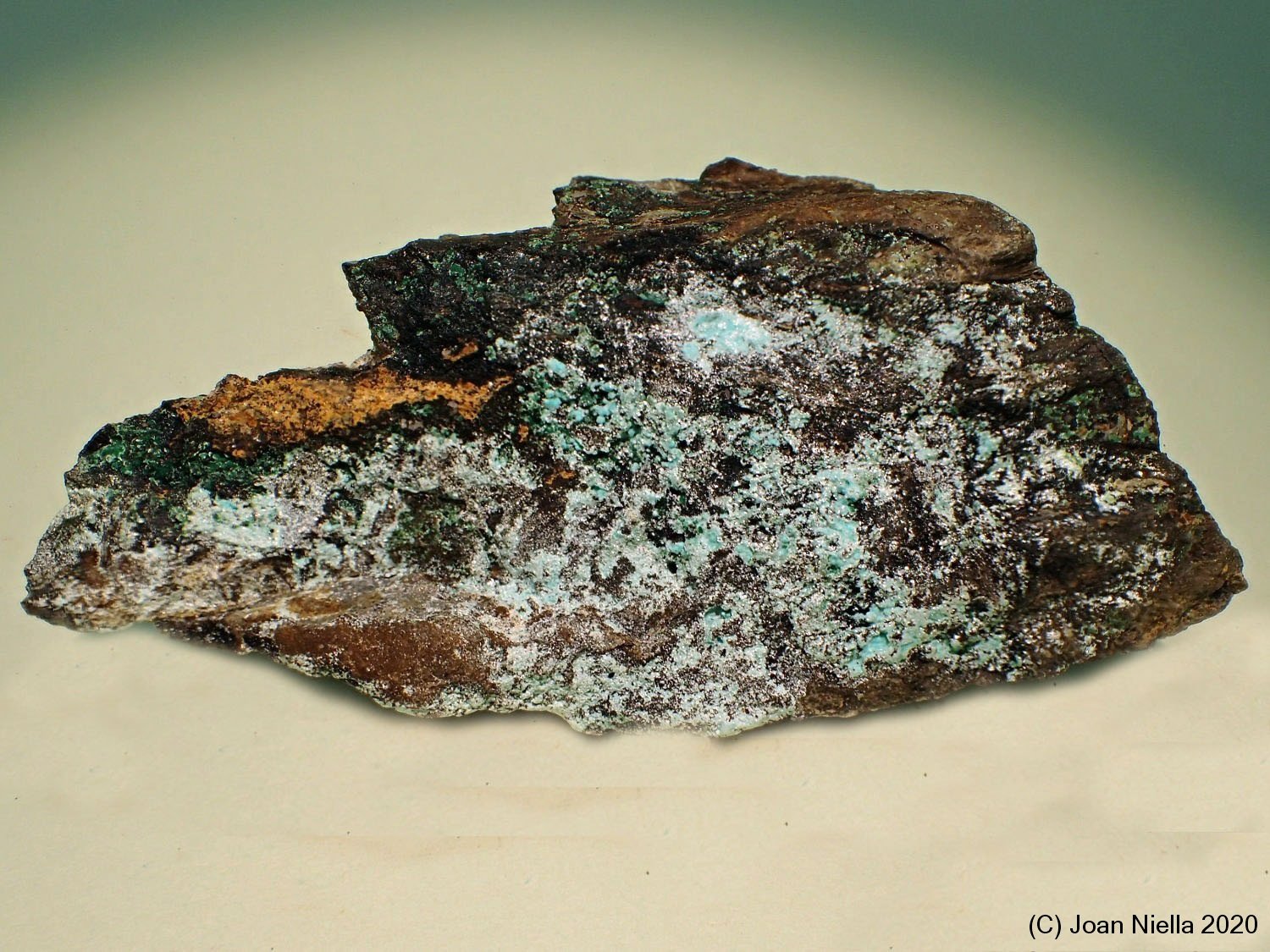 Orthoserpierita
8 x 4 cm
(Autor: Joan Niella)
