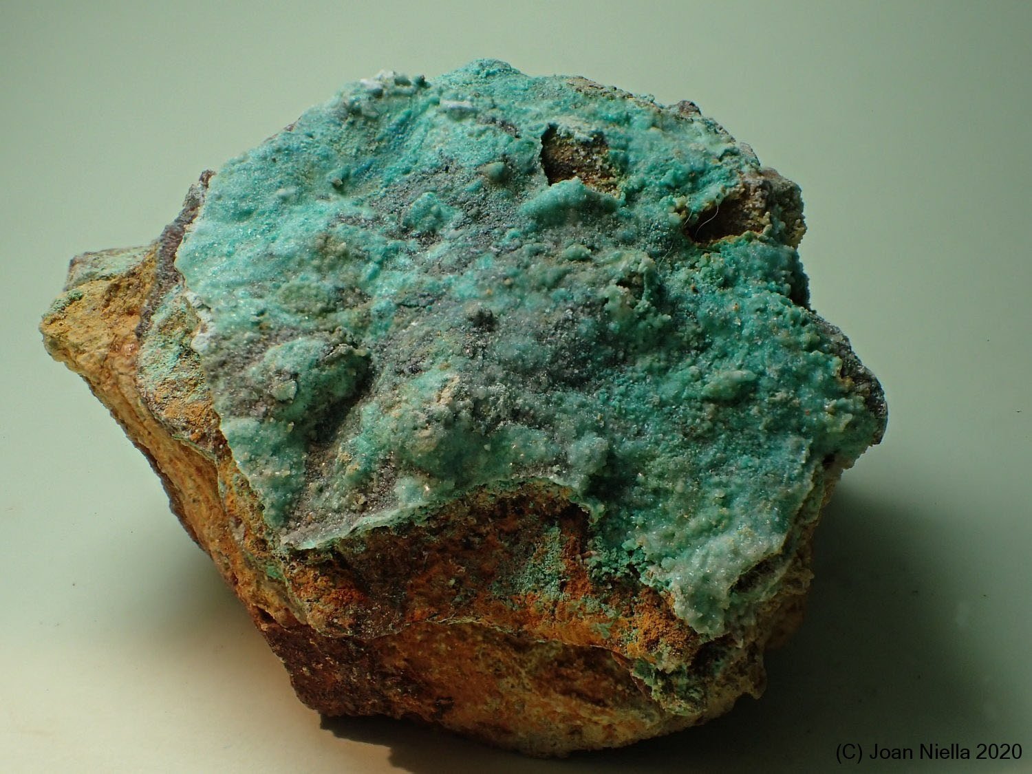 Calcantita
7 x 5 cm
(Autor: Joan Niella)