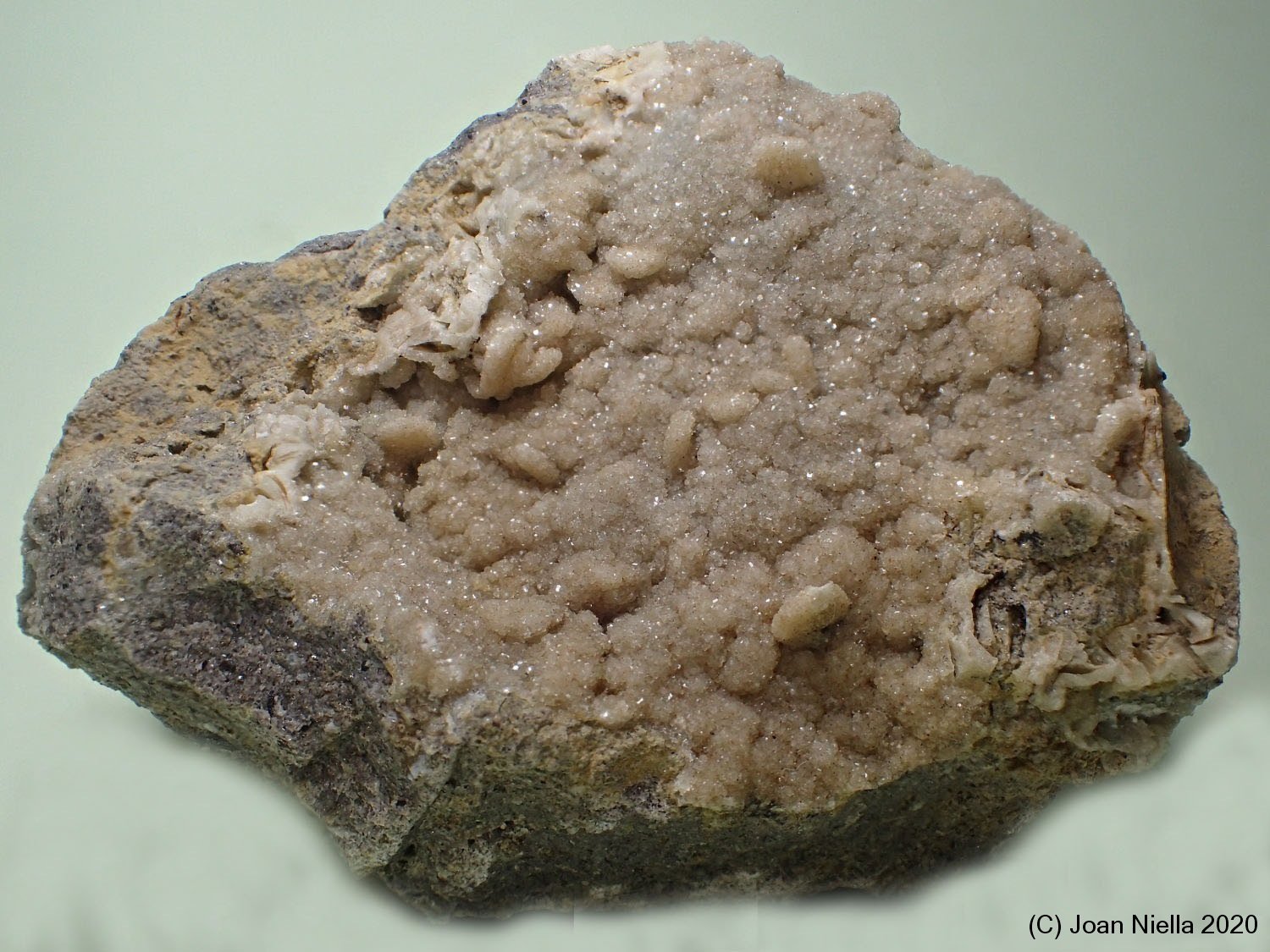 Clinoptilolita
7 x 6 cm
(Autor: Joan Niella)