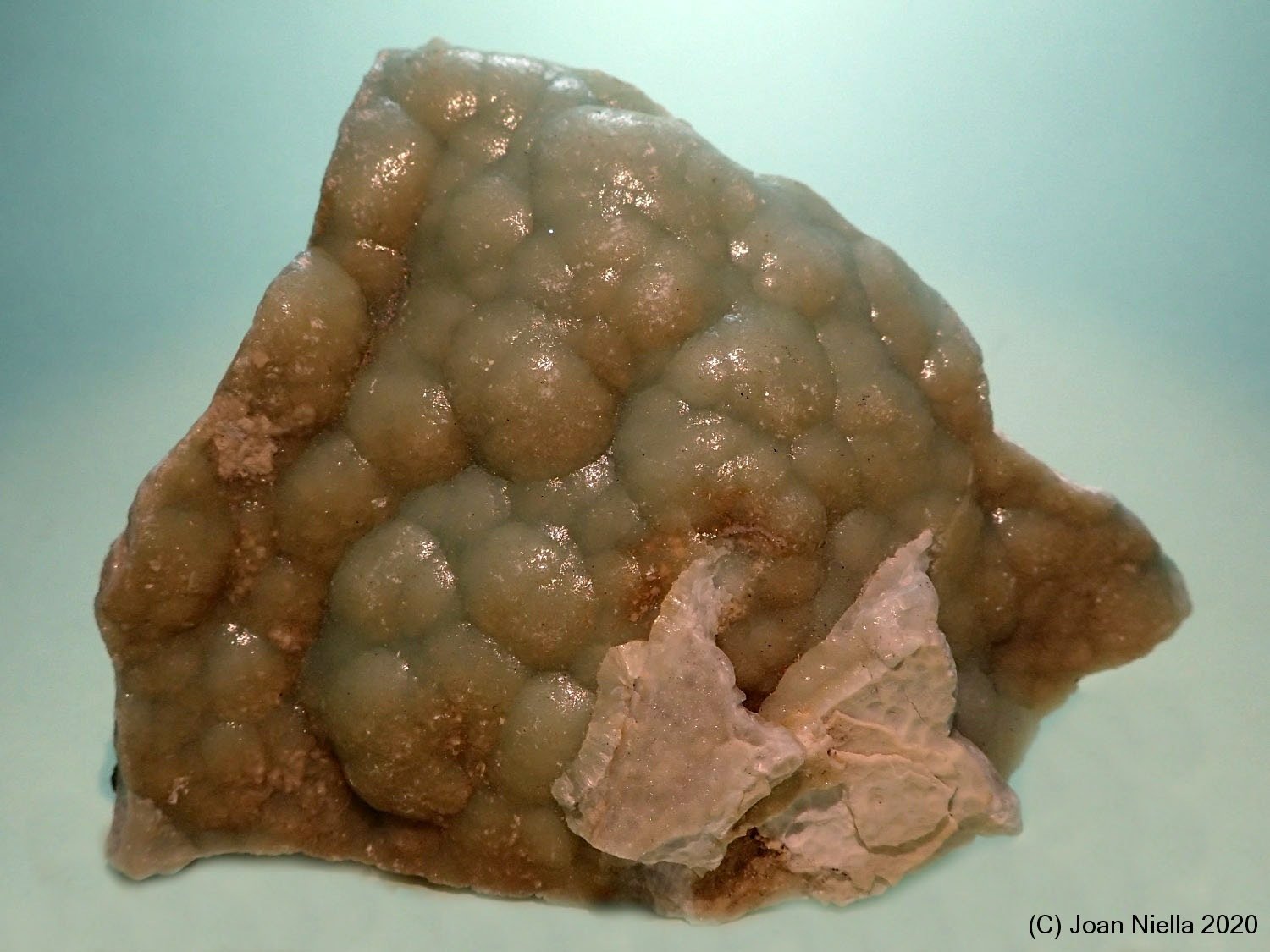 Plumbogummita
85x70 mm
(Autor: Joan Niella)