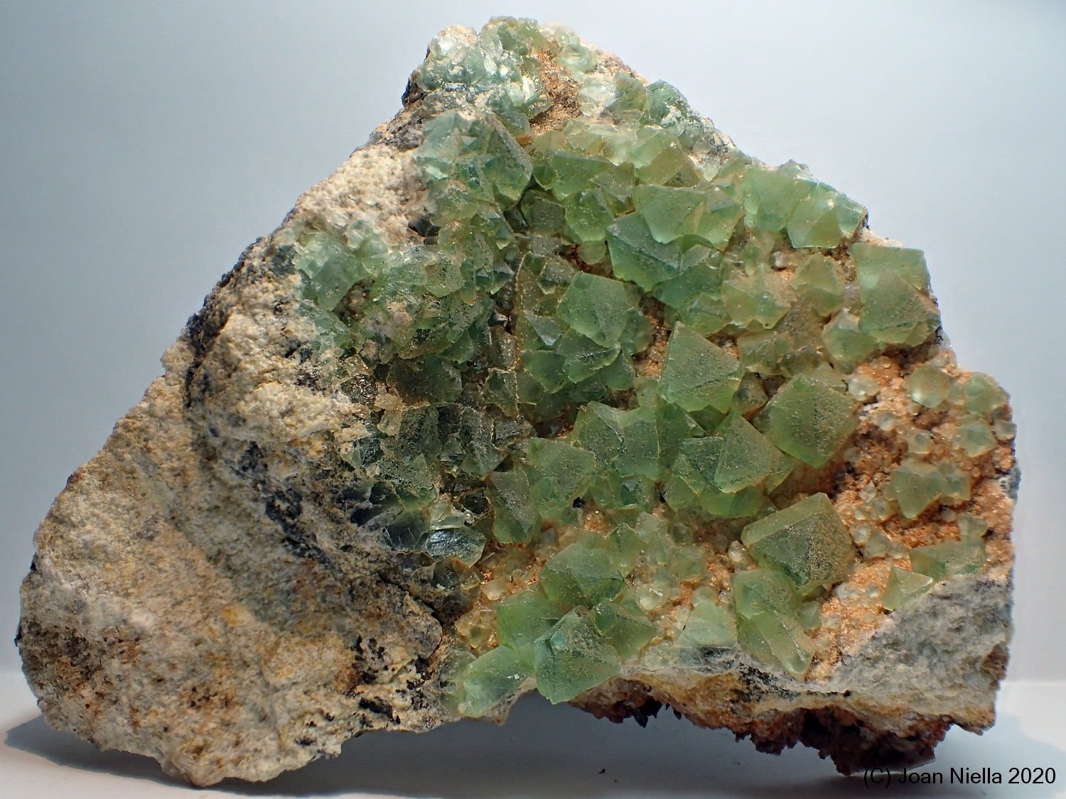 Fluorita
9 x 8 cm
(Autor: Joan Niella)