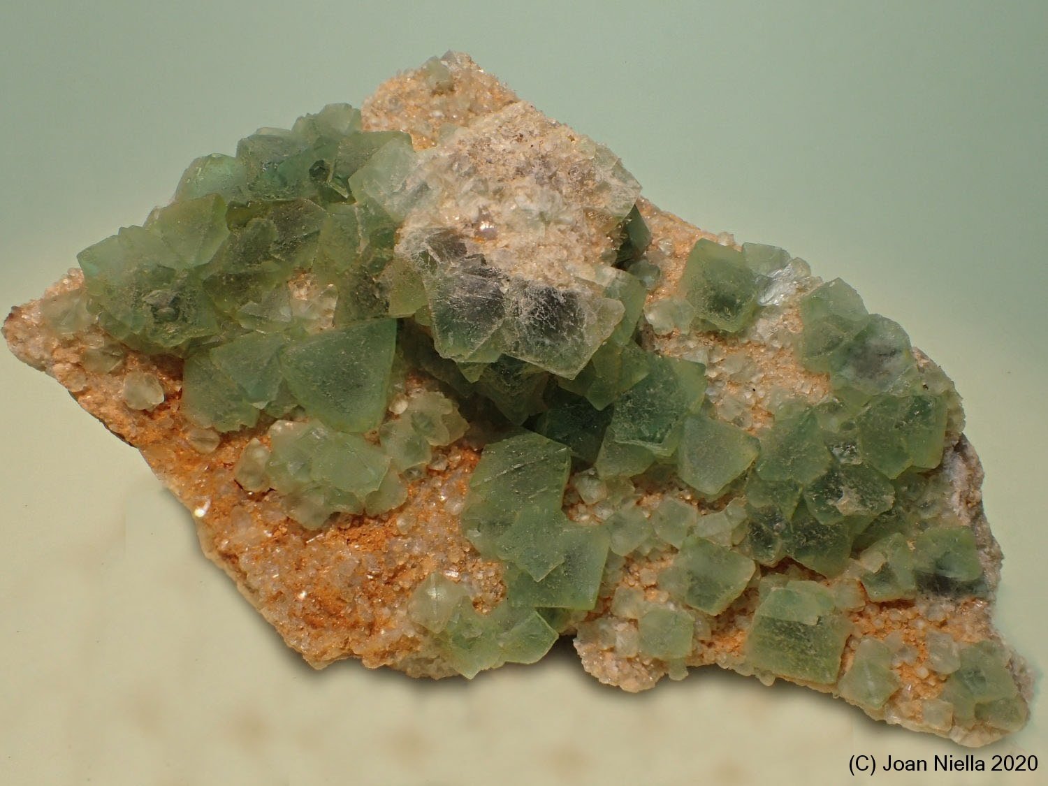 Fluorita
8 x 5 cm
(Autor: Joan Niella)