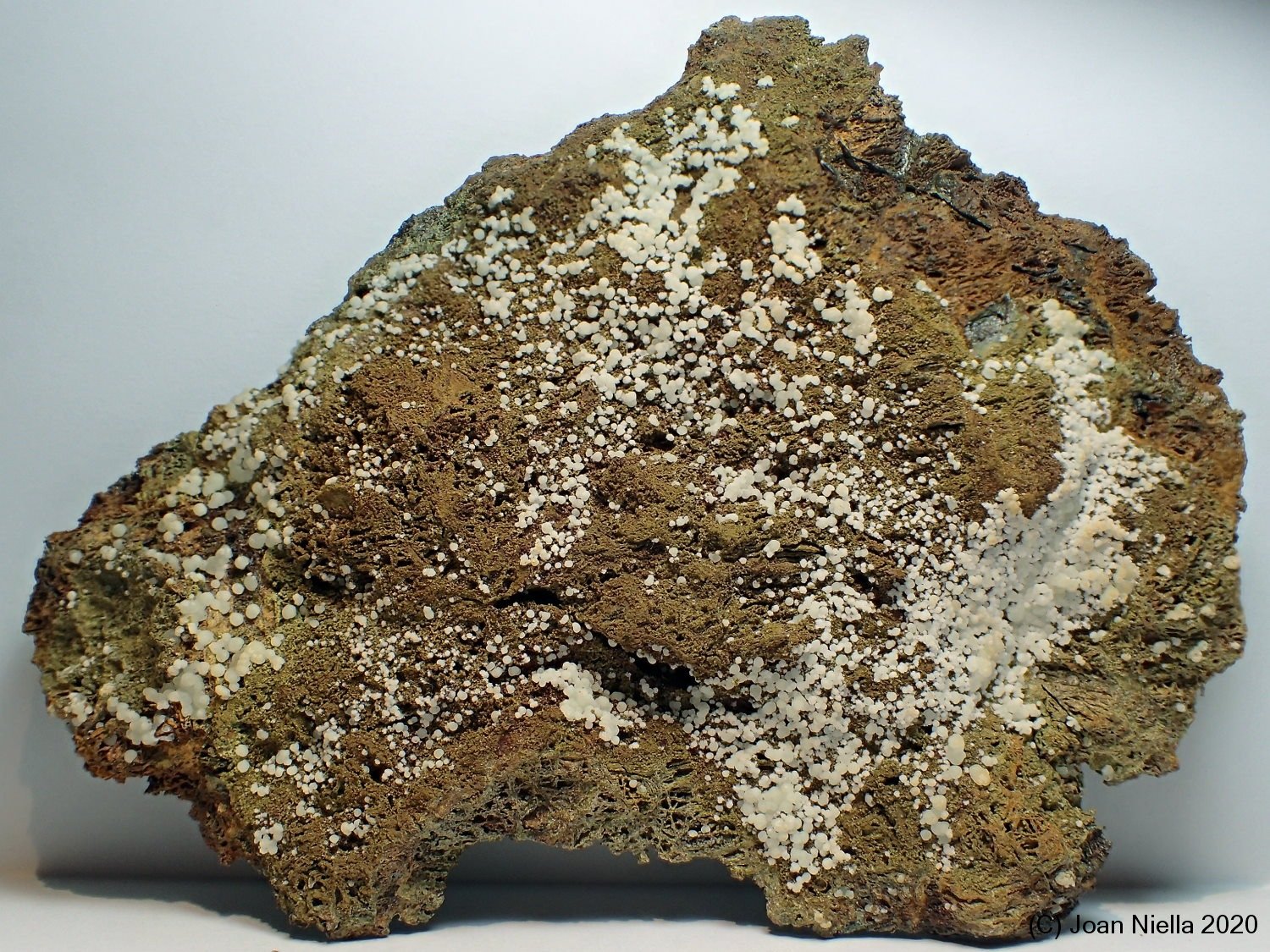 Fluorapatito (variedad carbonato-fluorapatito)
12 x 9
(Autor: Joan Niella)