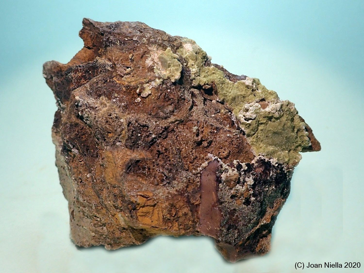Calcioferrita
60x45 mm
(Autor: Joan Niella)