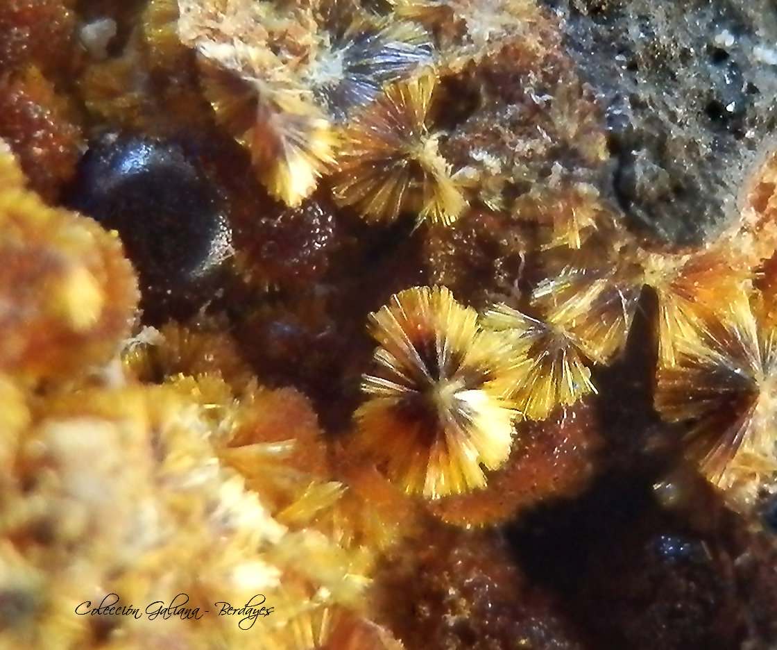 Cacoxenita
Encuadre 4 x 3,2 mm
(Autor: Rafael Galiana)