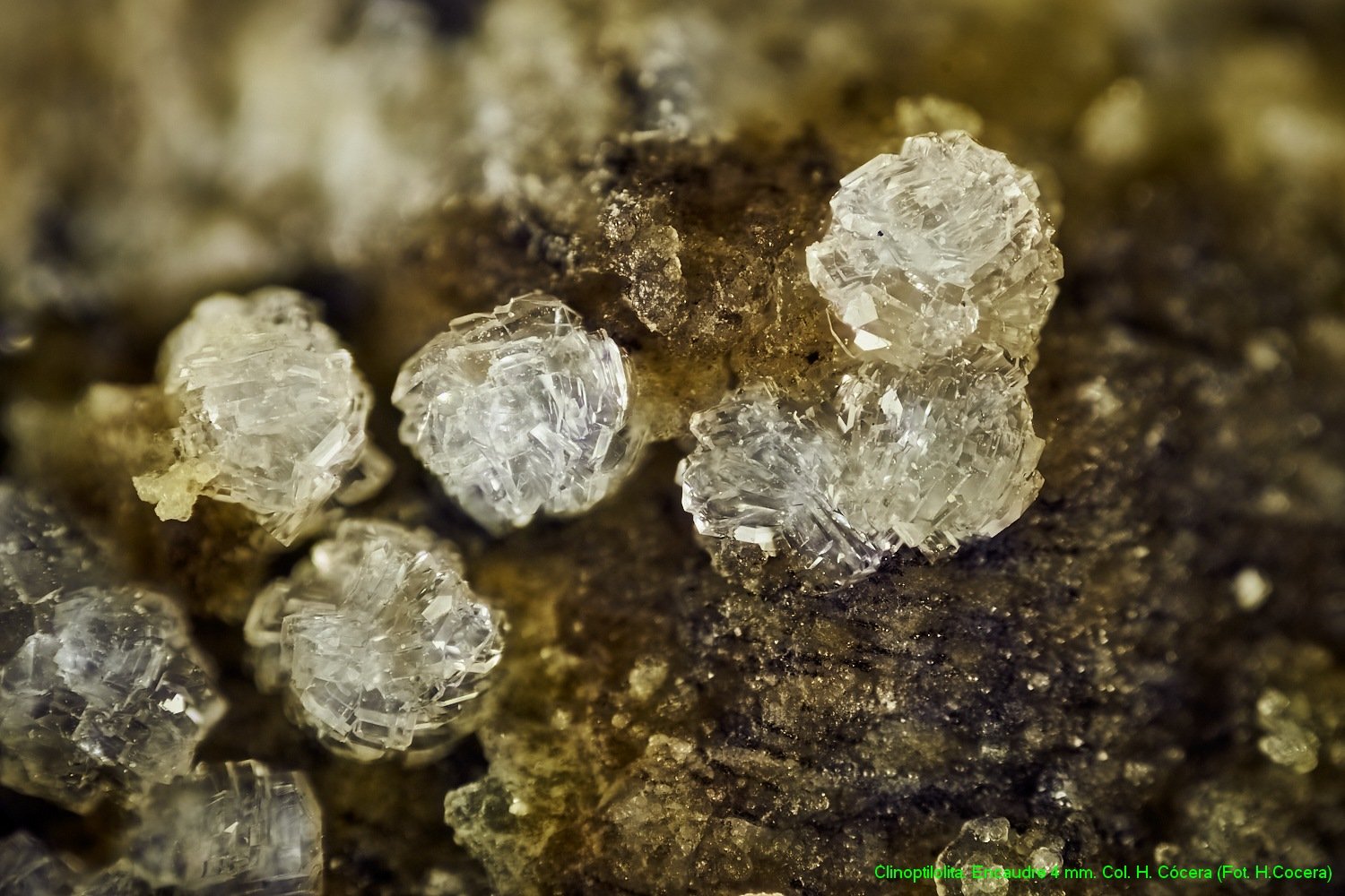 Clinoptilolita
encuadre 4mm
(Autor: Joan Niella)